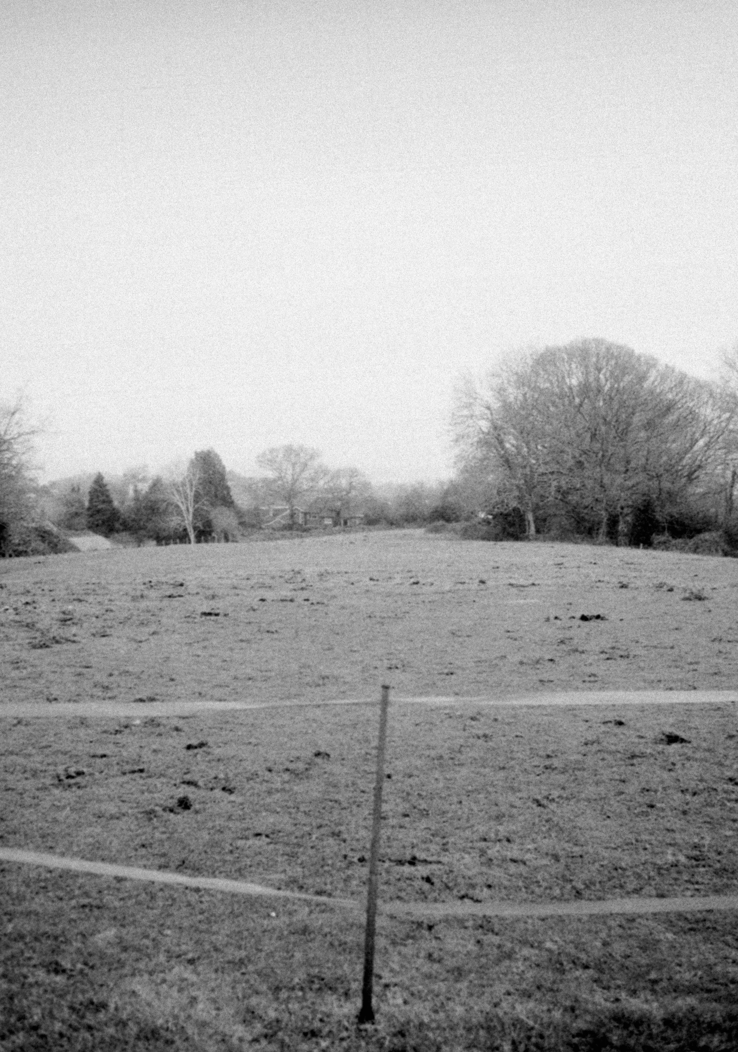 Photo by anniespratt