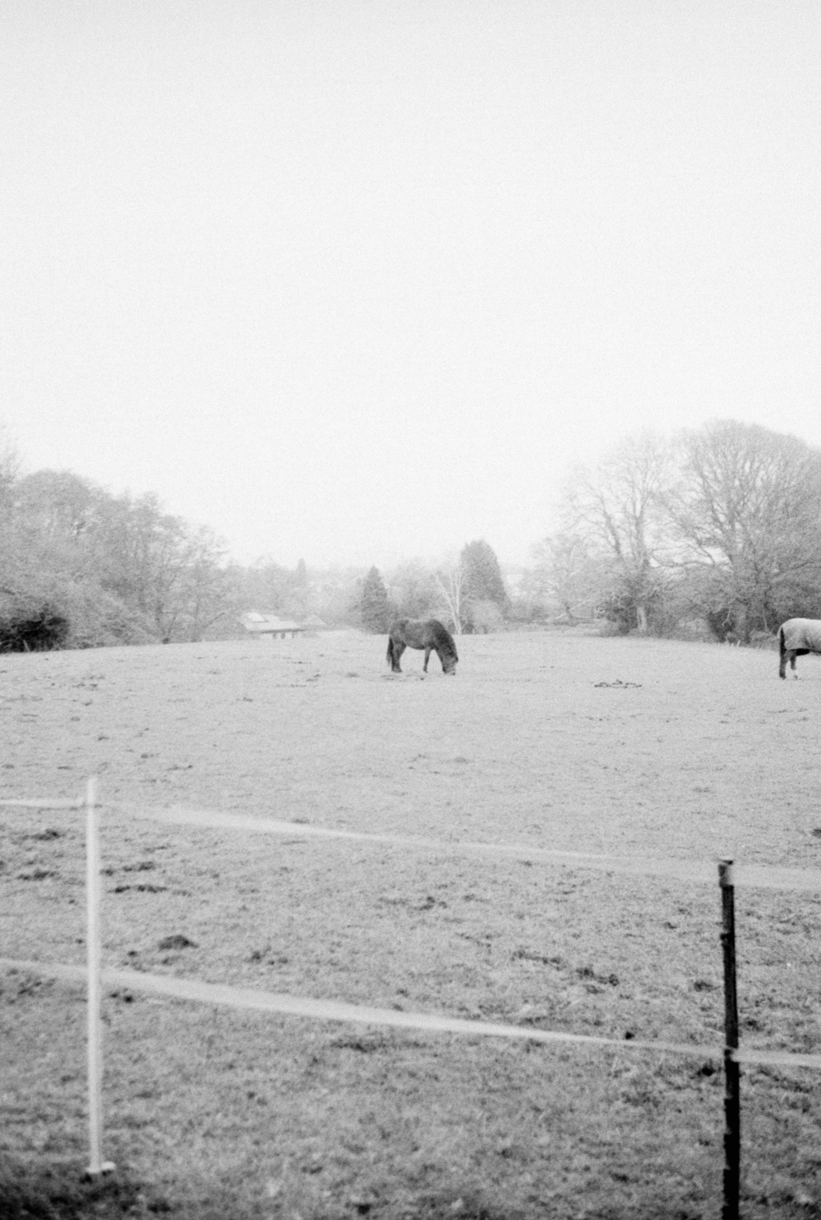 Photo by anniespratt