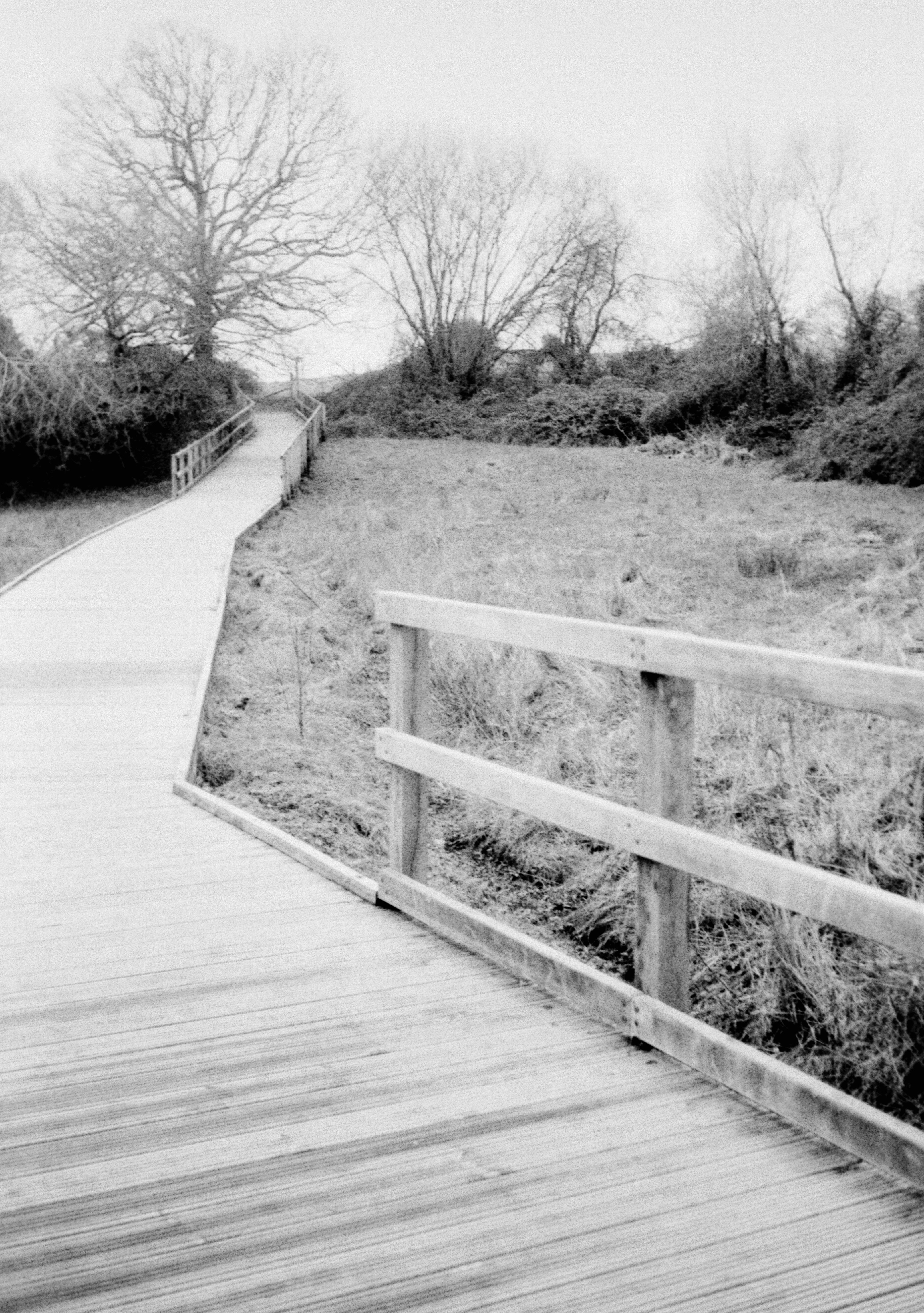 Photo by anniespratt