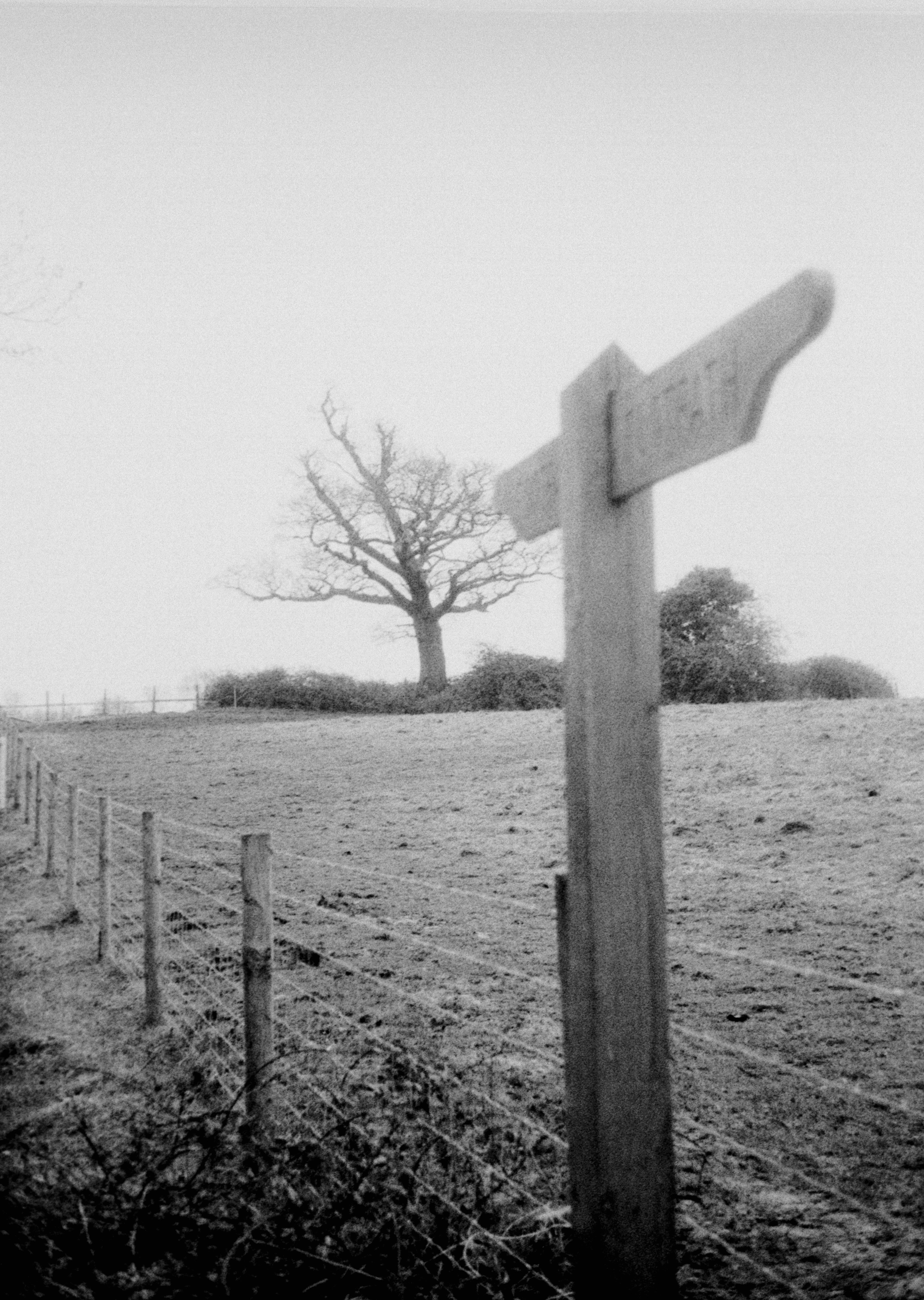 Photo by anniespratt