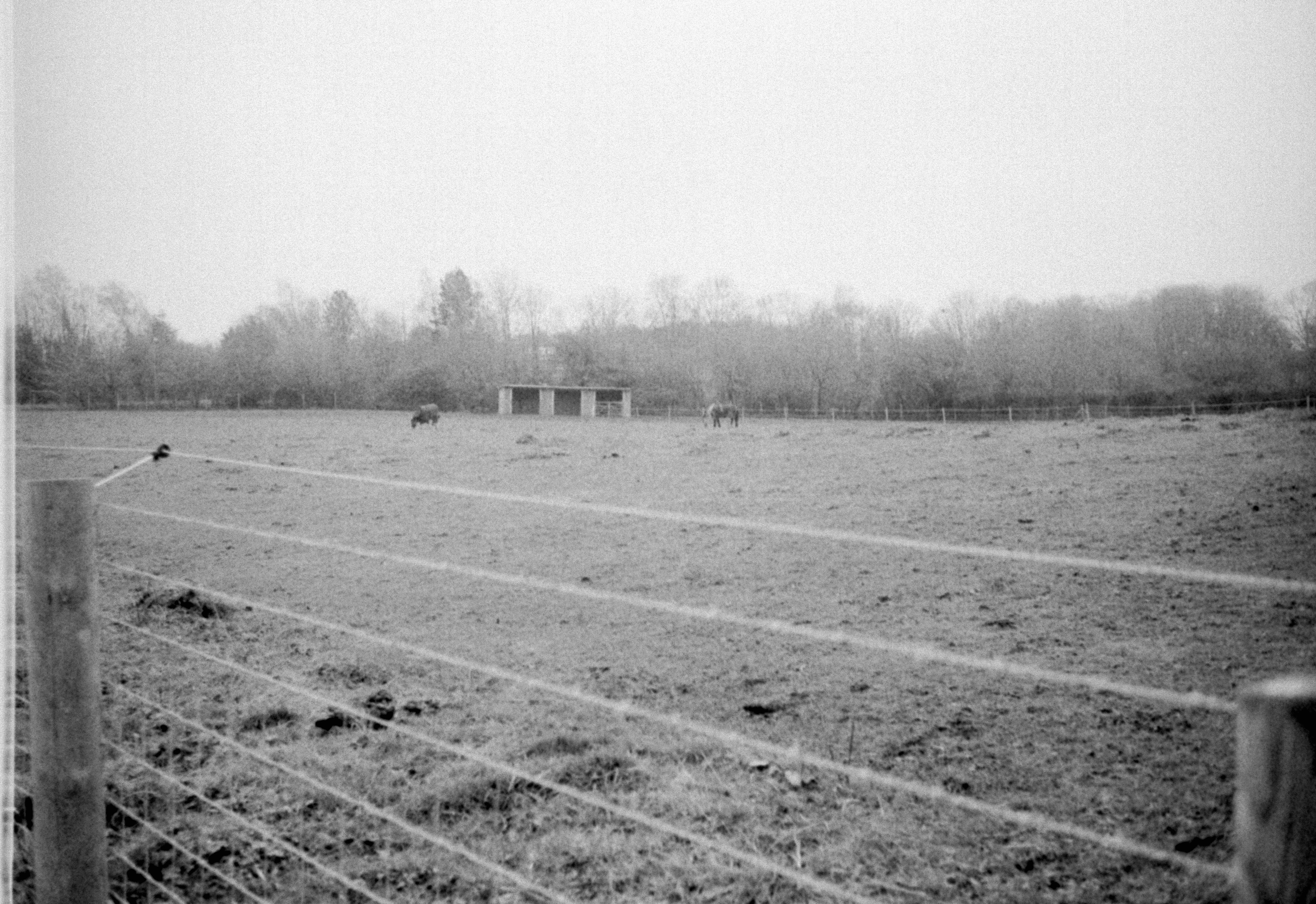 Photo by anniespratt