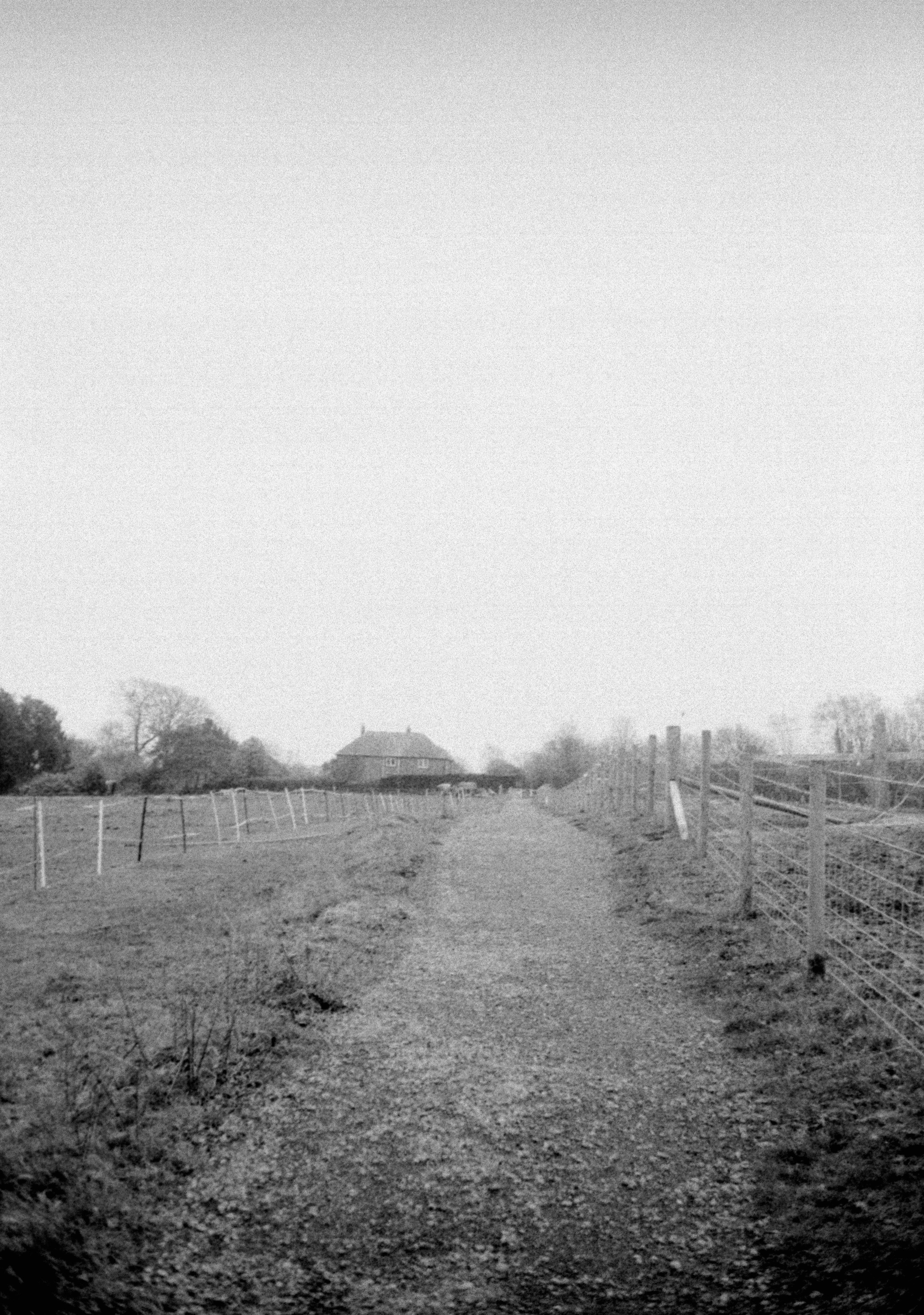 Photo by anniespratt