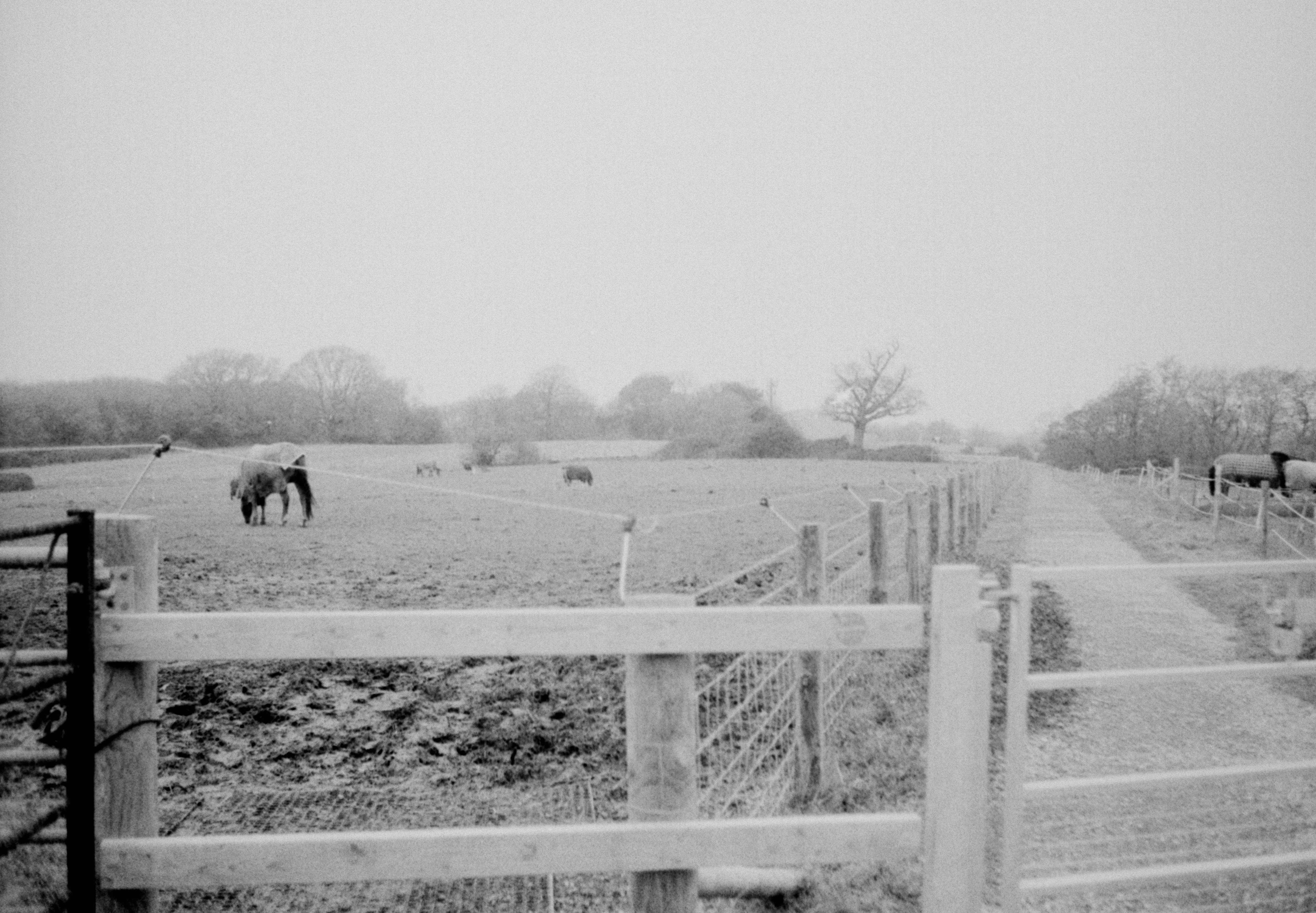 Photo by anniespratt