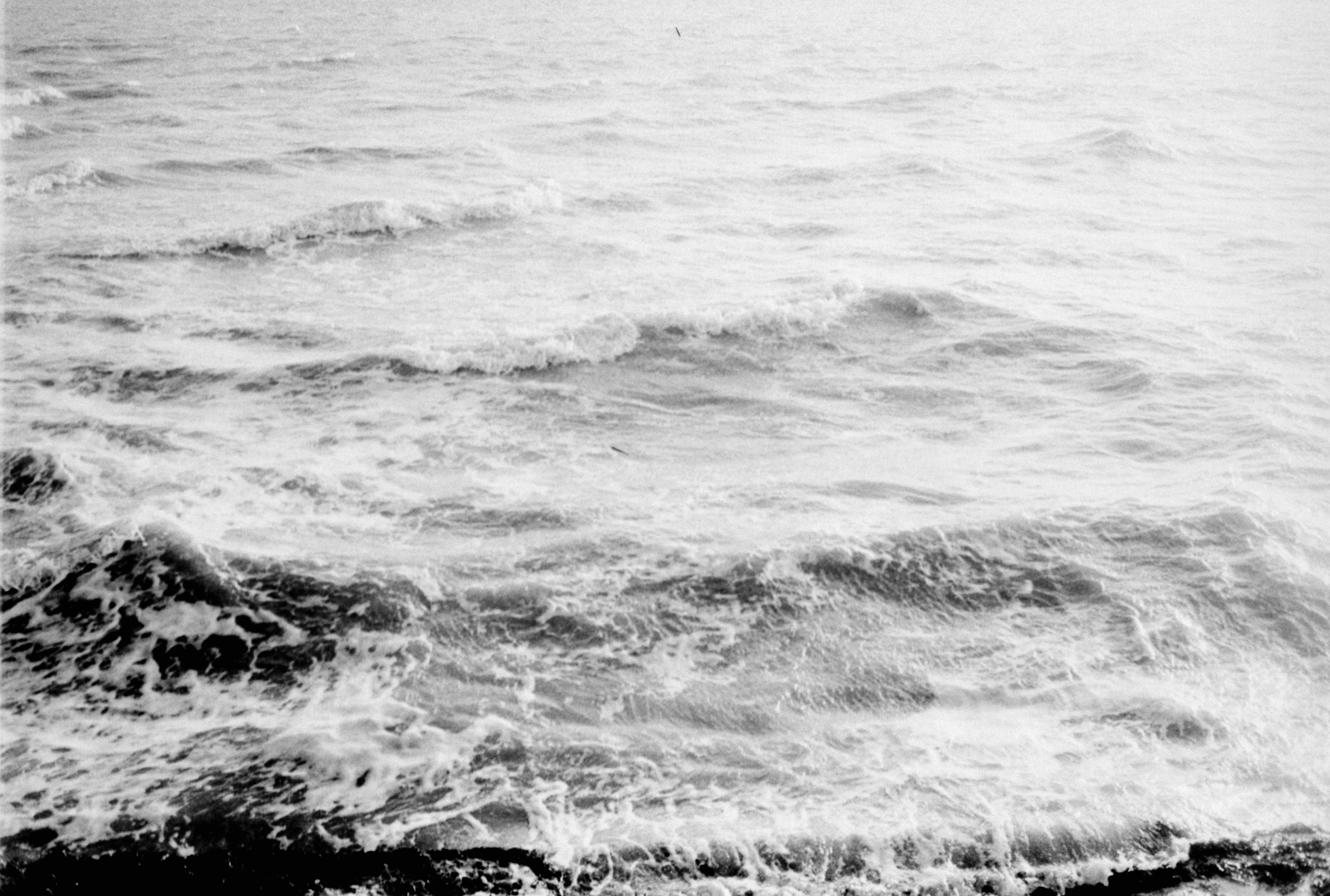 Photo by anniespratt