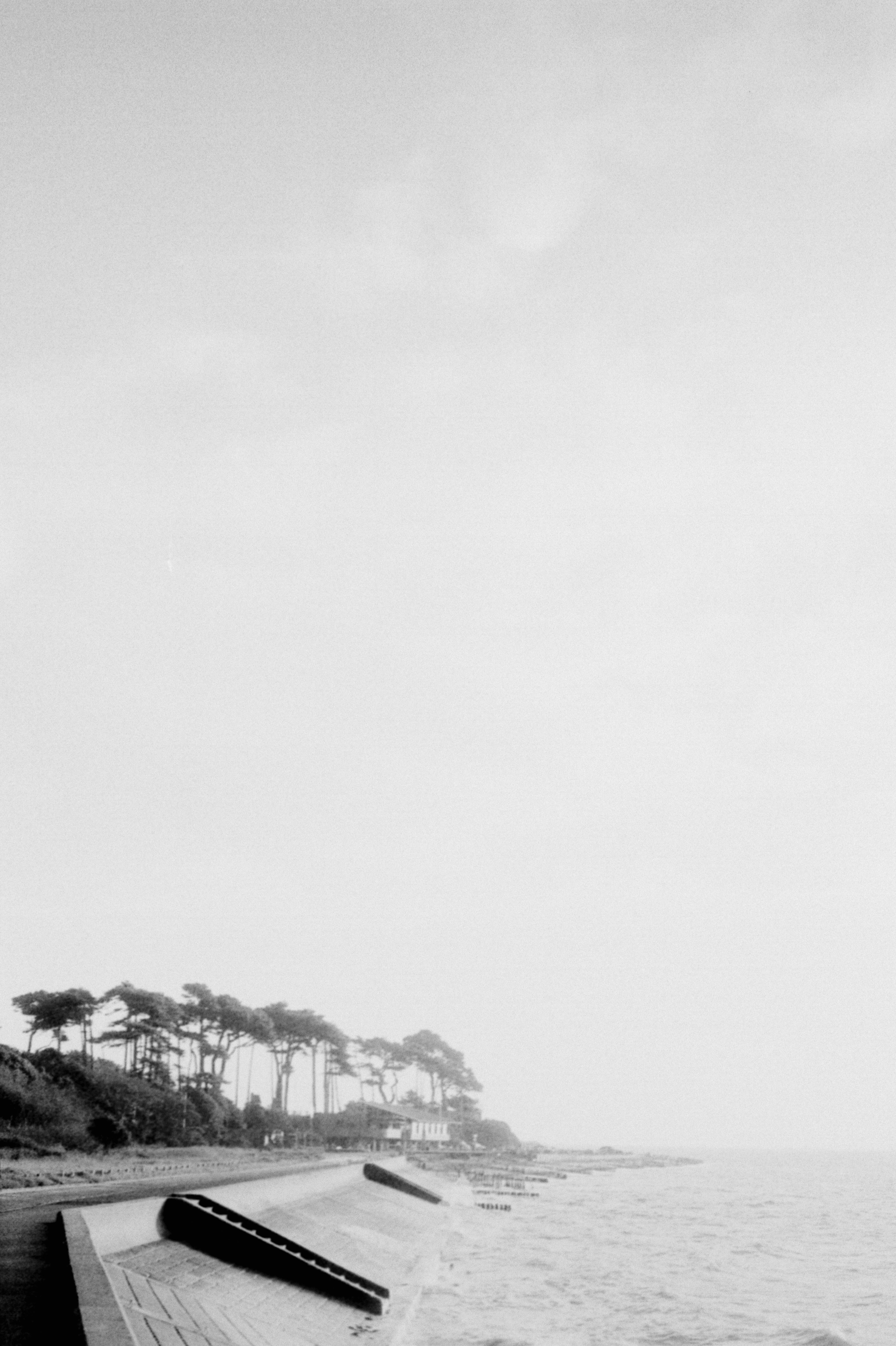 Photo by anniespratt