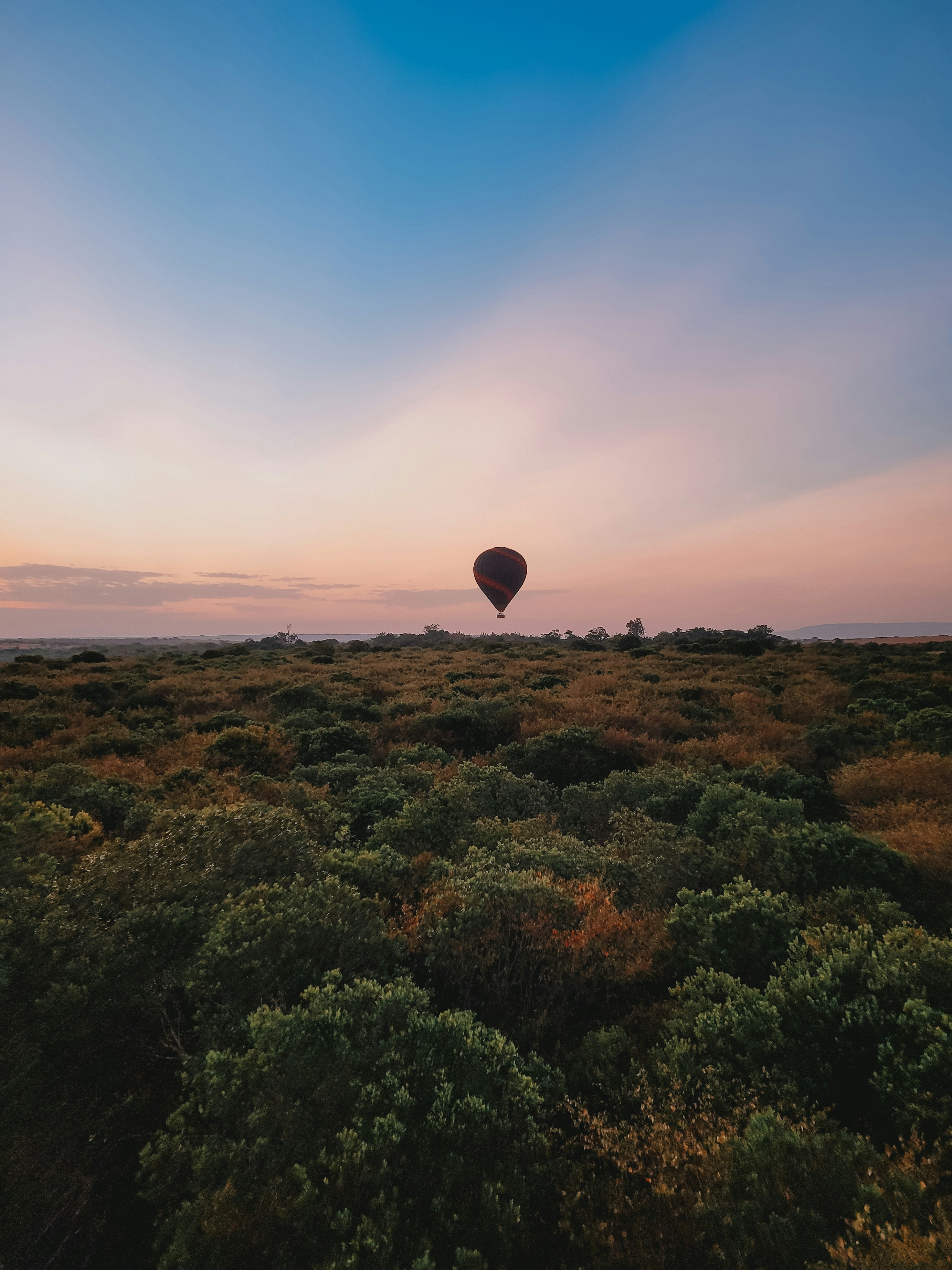 A hot air balloon flying over a lush green field photo – Free Wallpaper ...