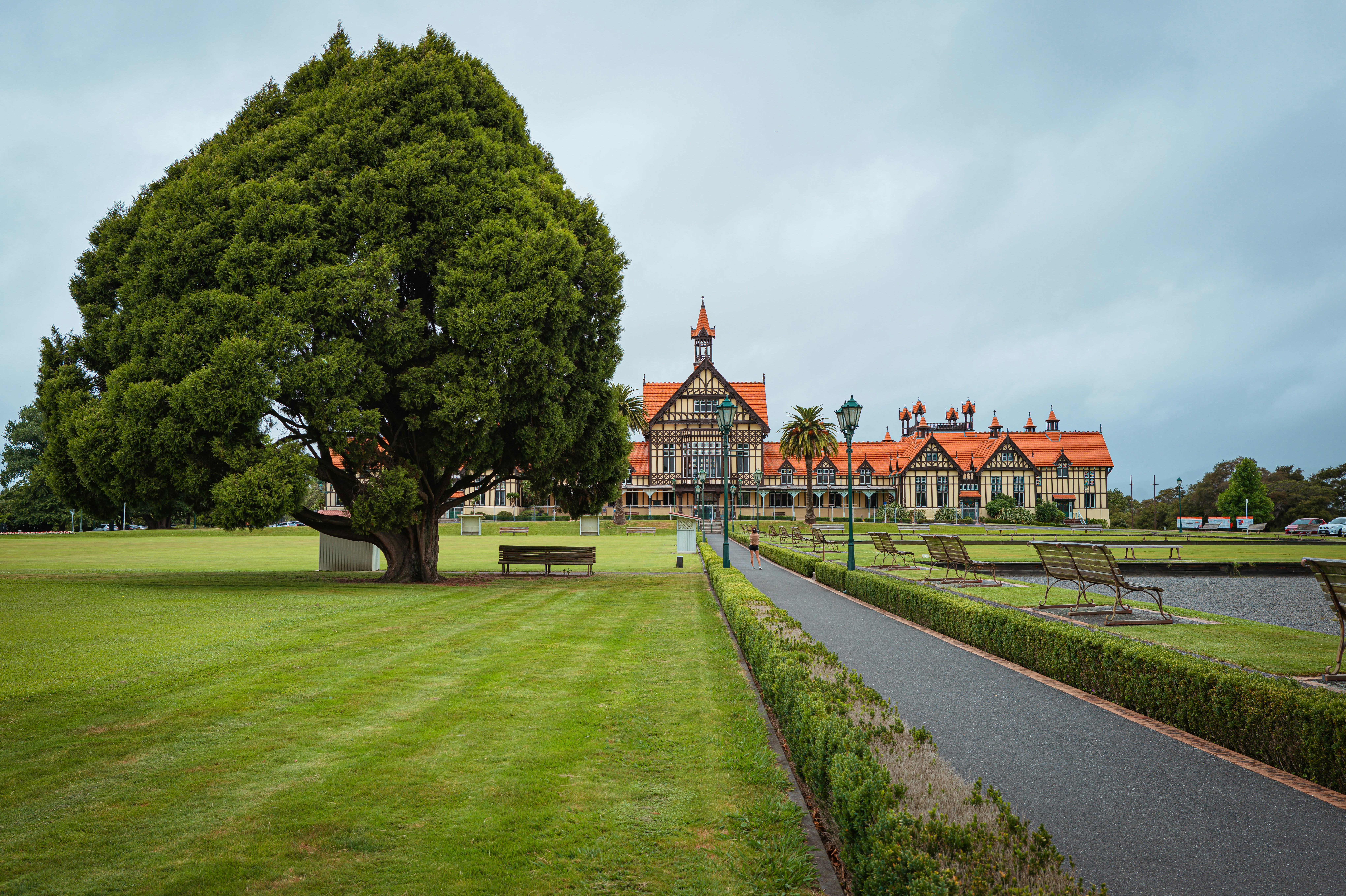 a park with a bench and a large tree