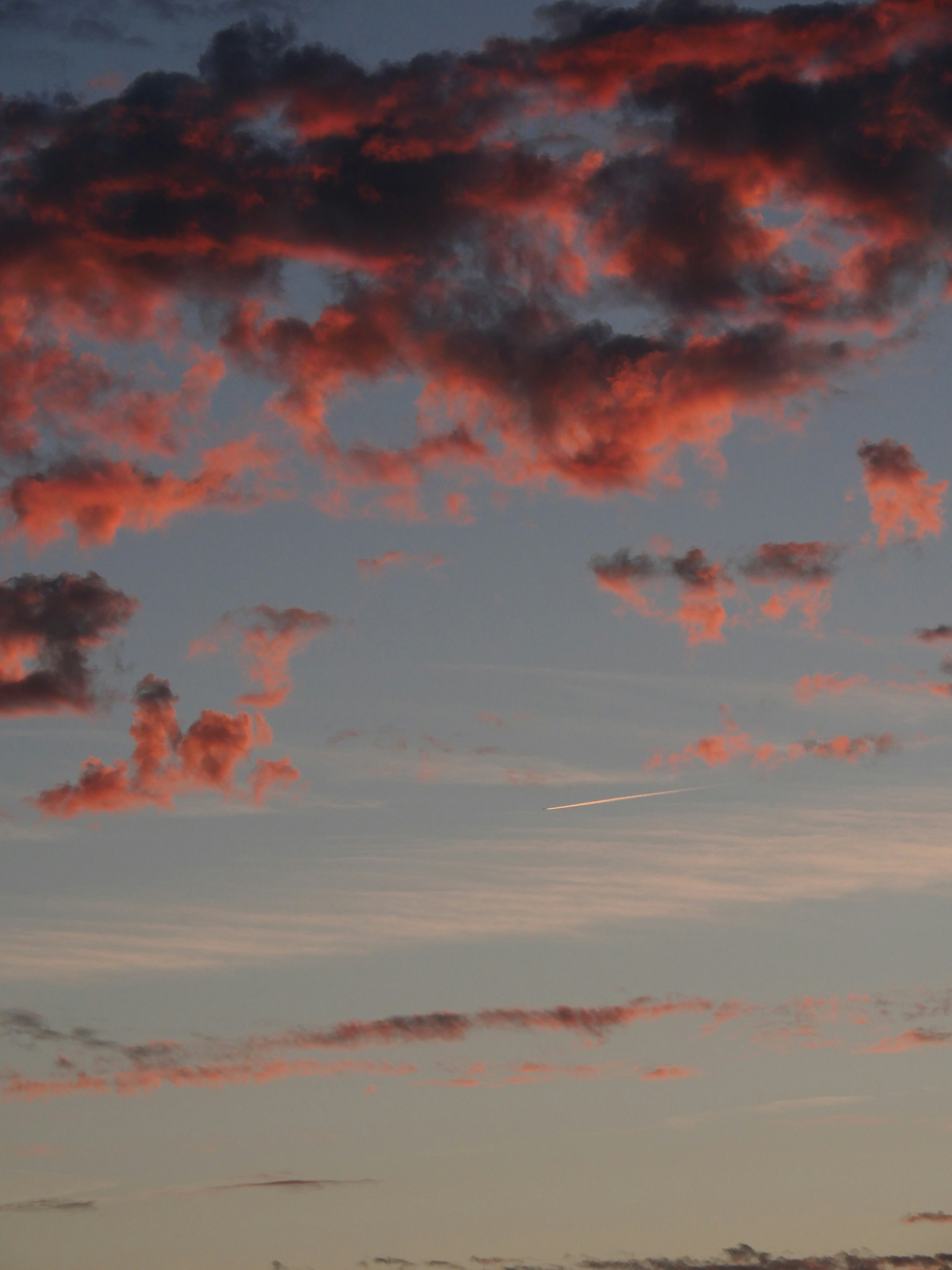 Photo by nimbus_vulpis