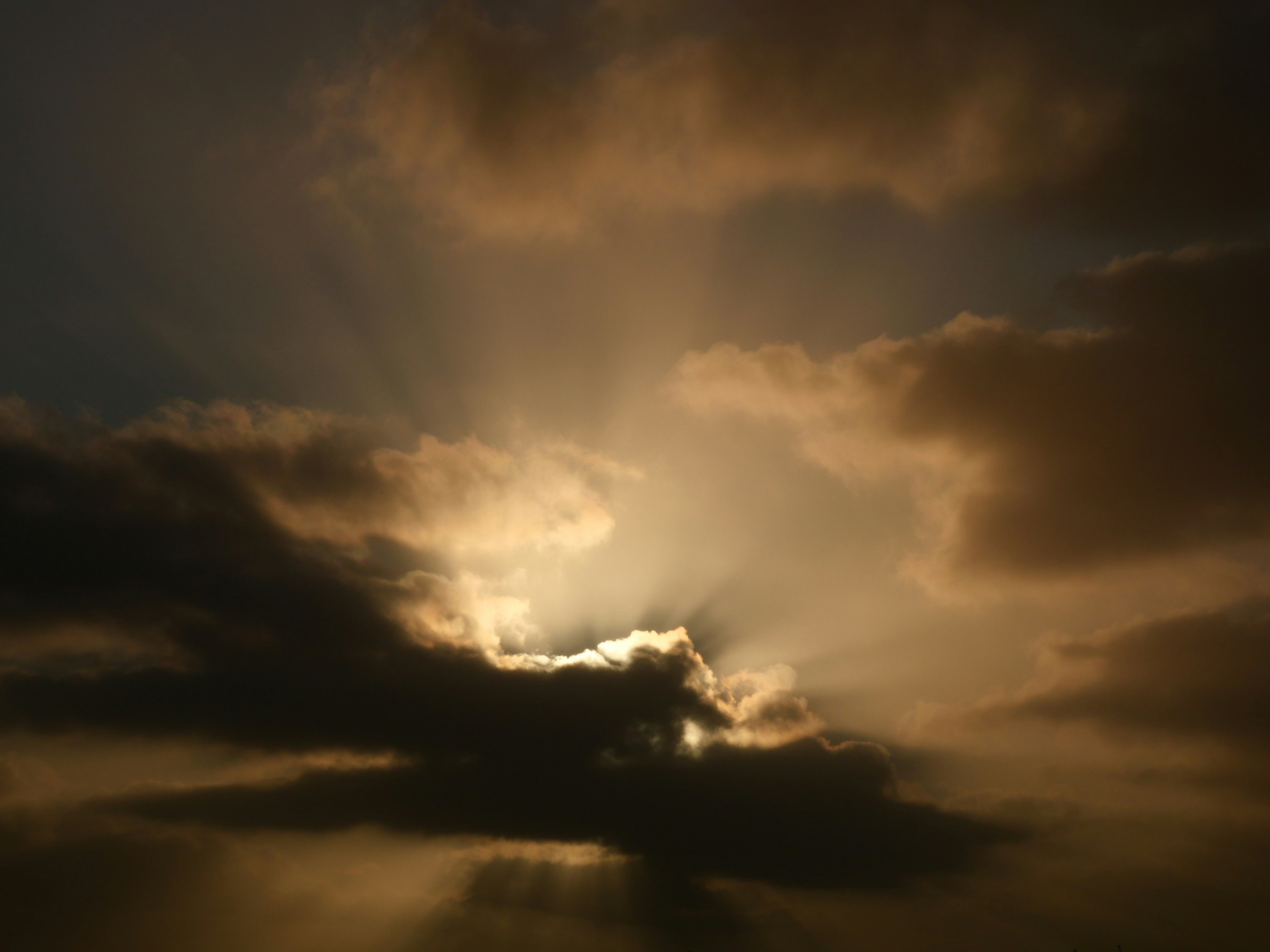 Photo by nimbus_vulpis