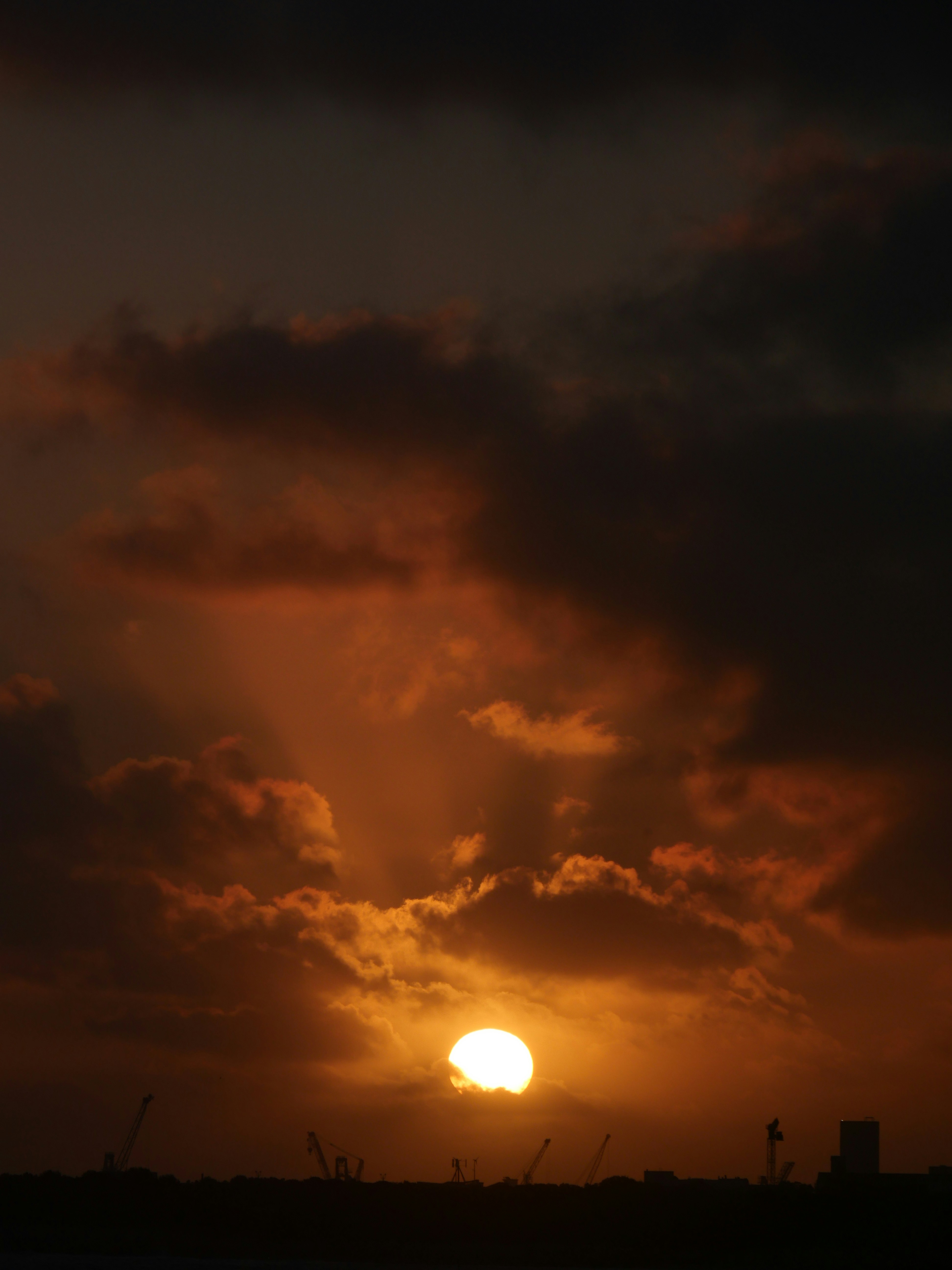 Photo by nimbus_vulpis