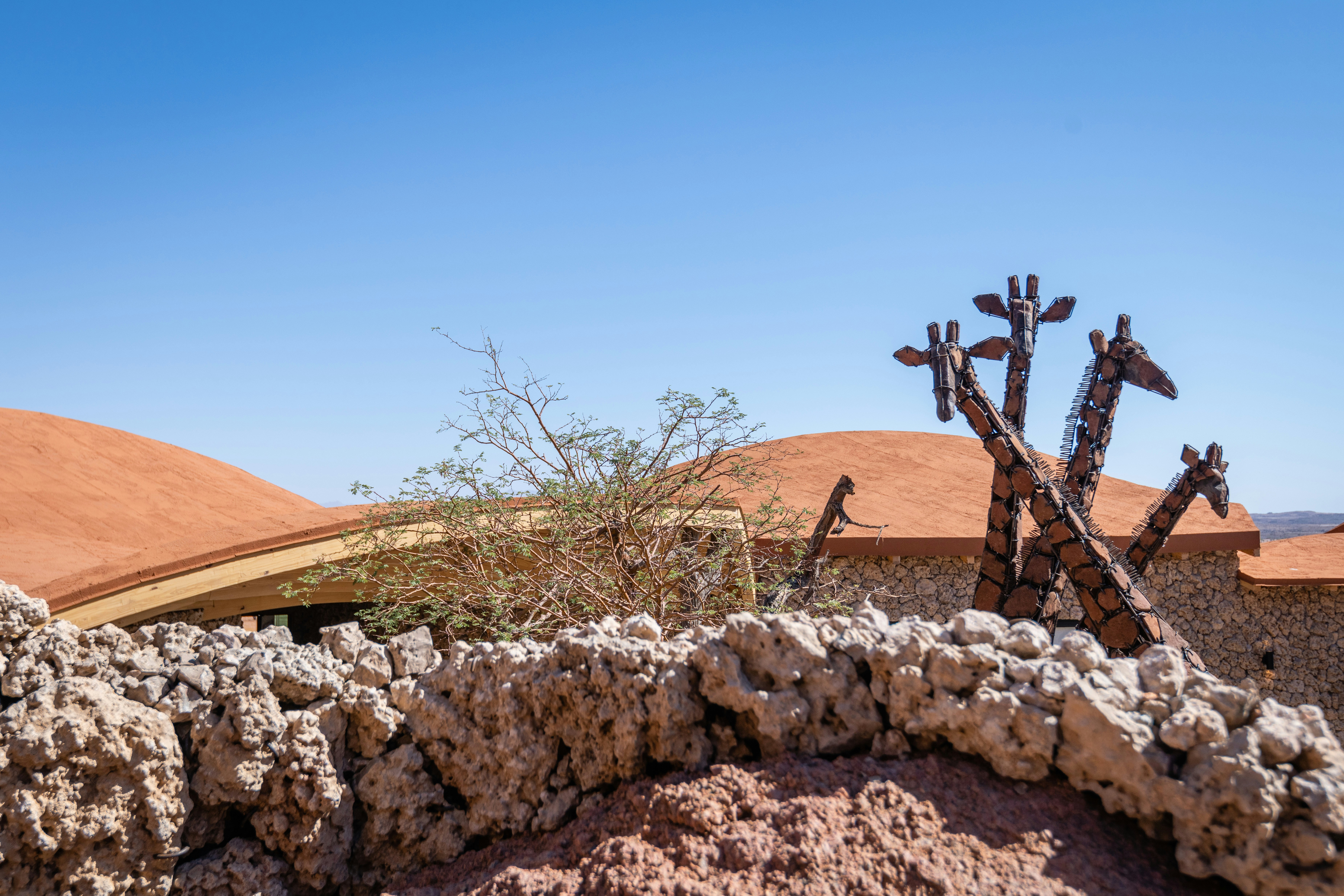 Photo by ultimate_safaris_namibia