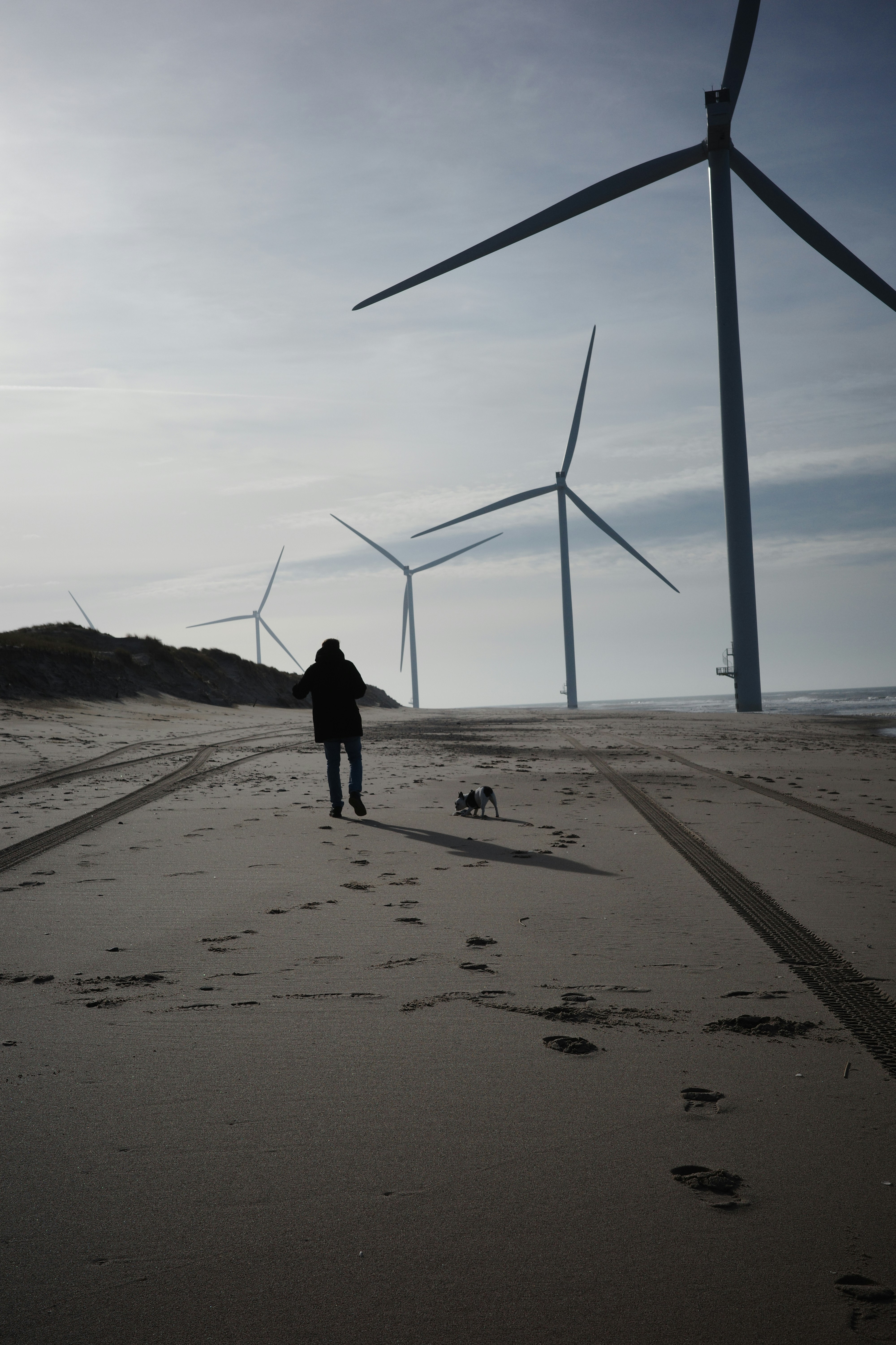 eine Person, die mit einem Hund an einem Strand mit Windrädern im Hintergrund spazieren geht
