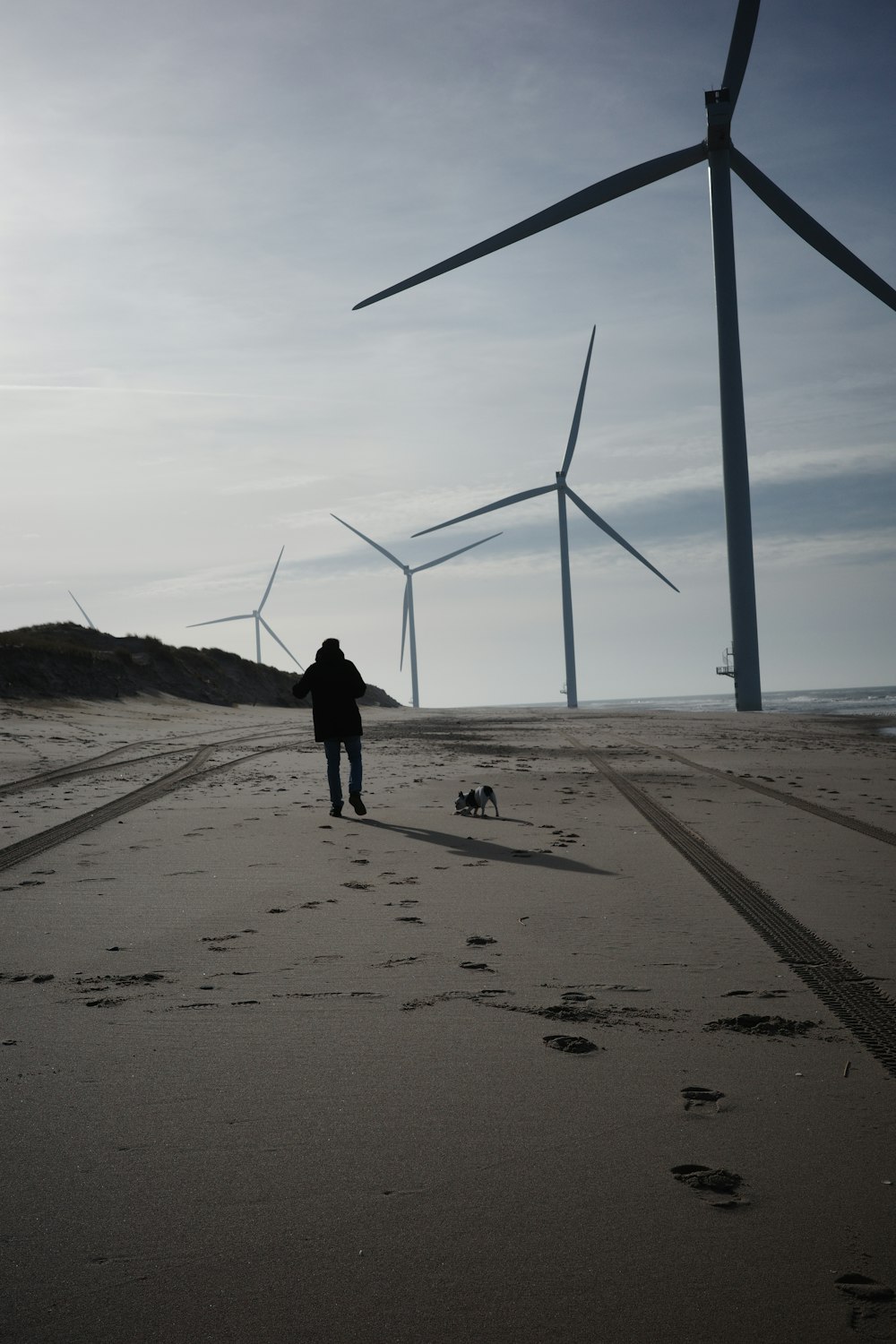 a person walking a dog on a beach with wind turbines in the background
