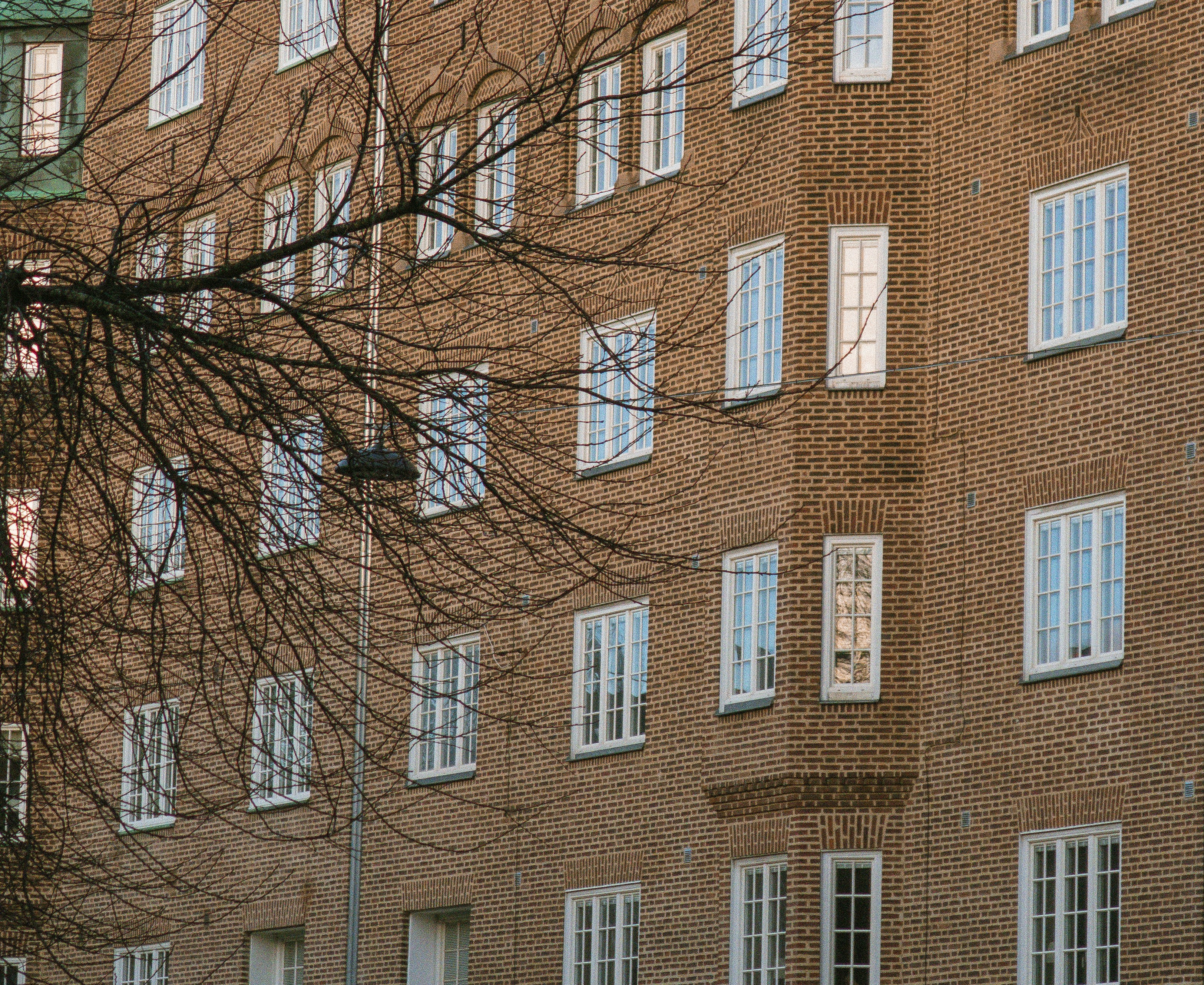 Photo by seenthroughmpk