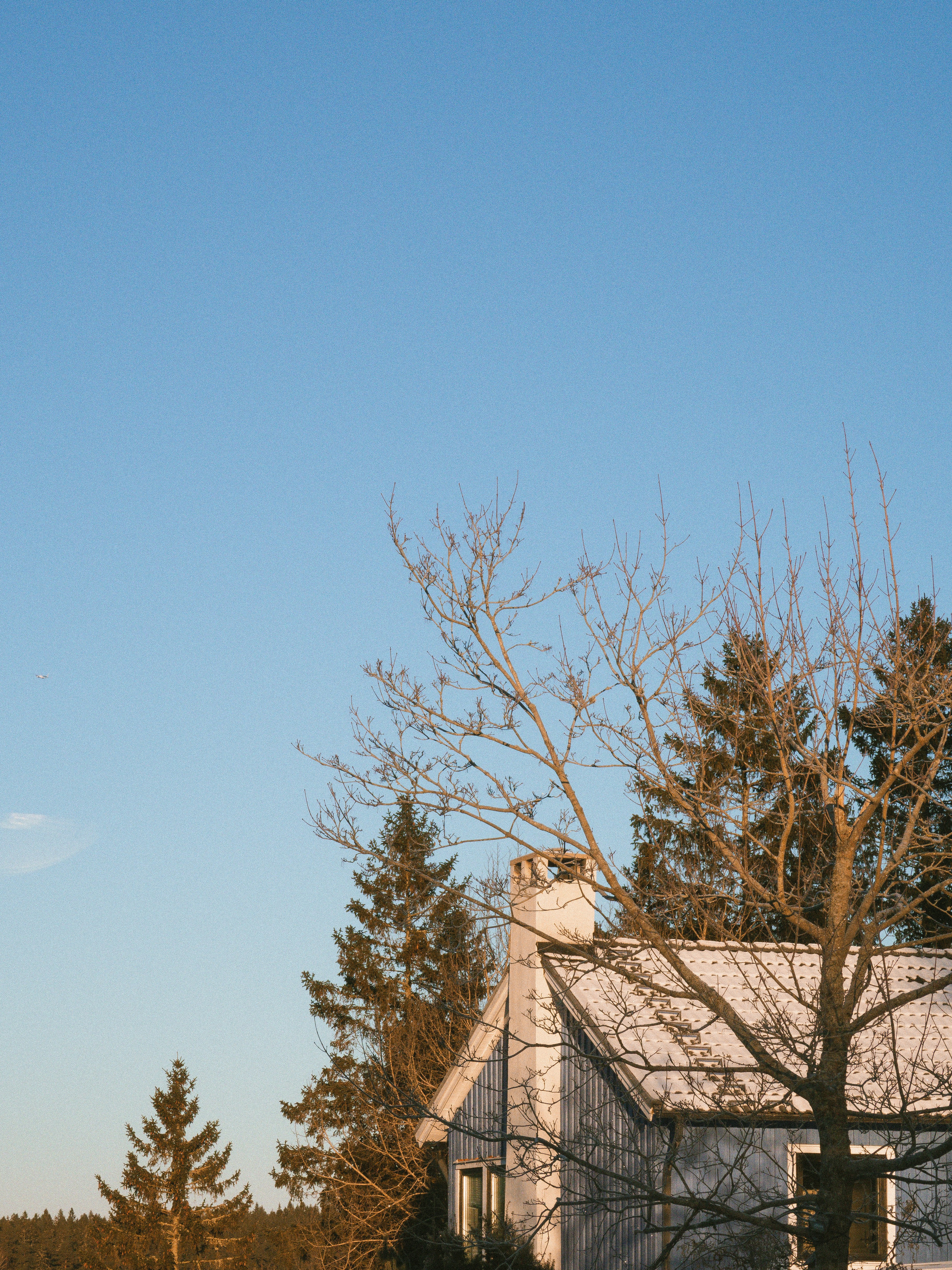 Photo by seenthroughmpk