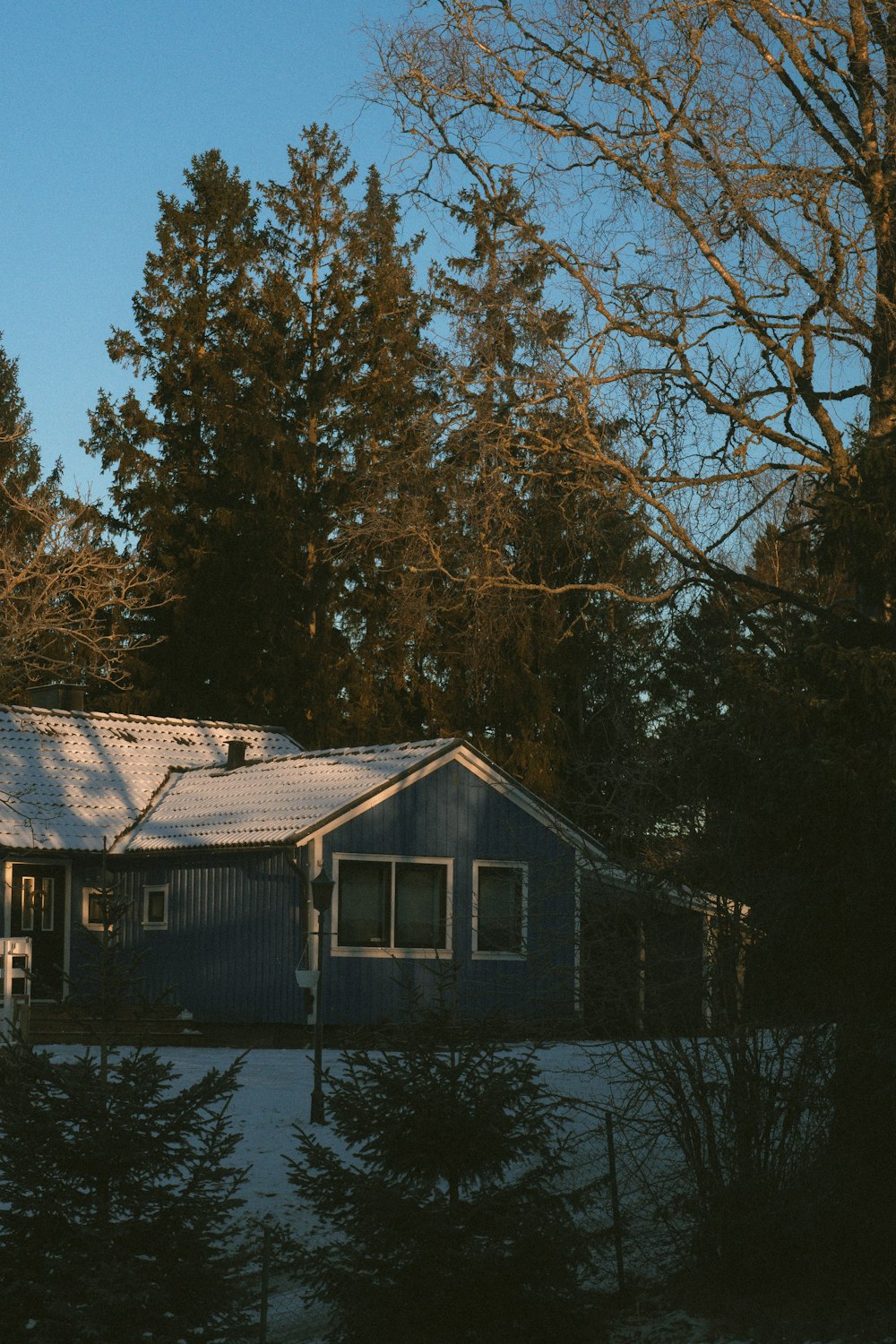 a house in the snow with trees in the background