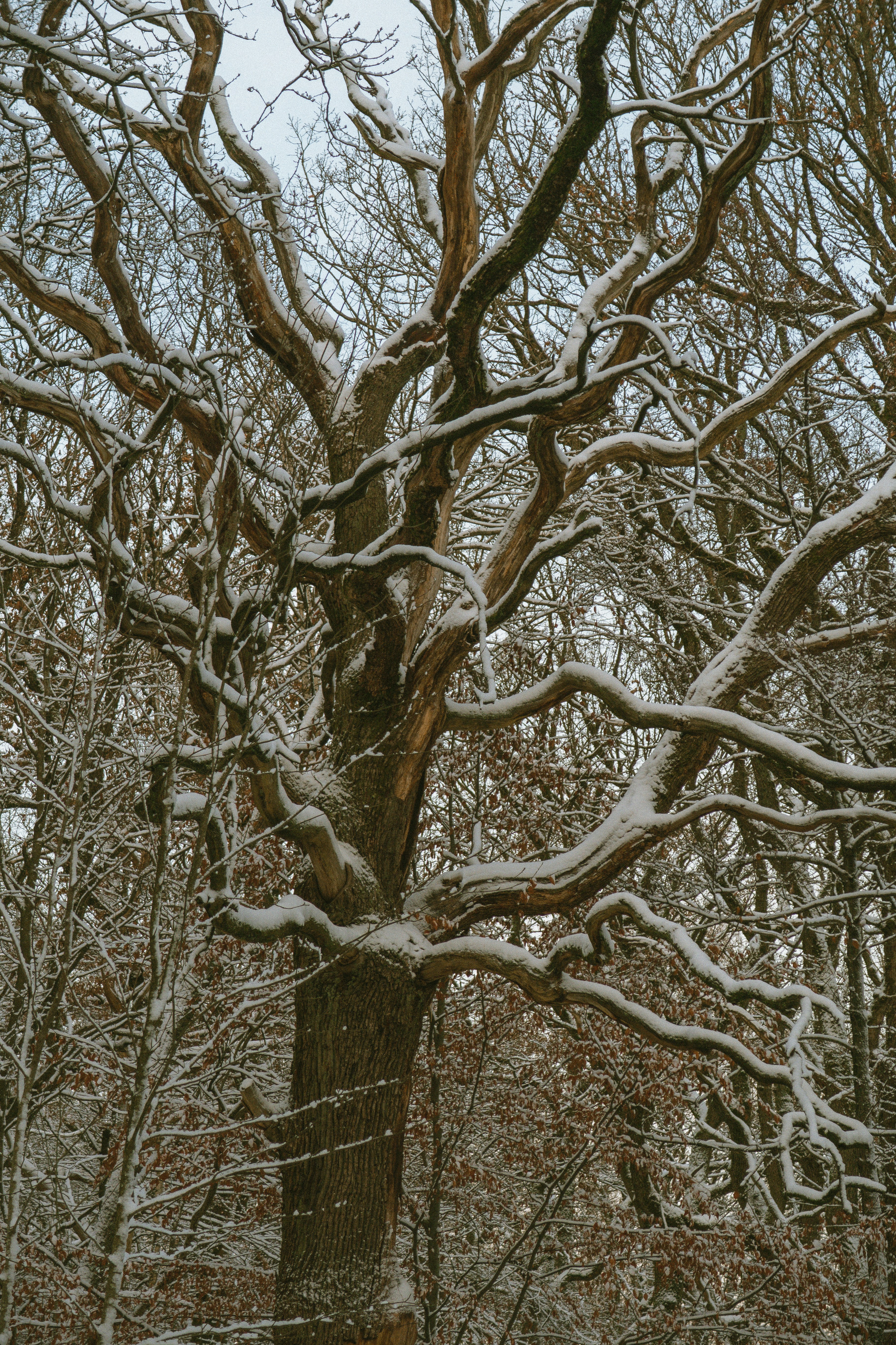 Photo by seenthroughmpk