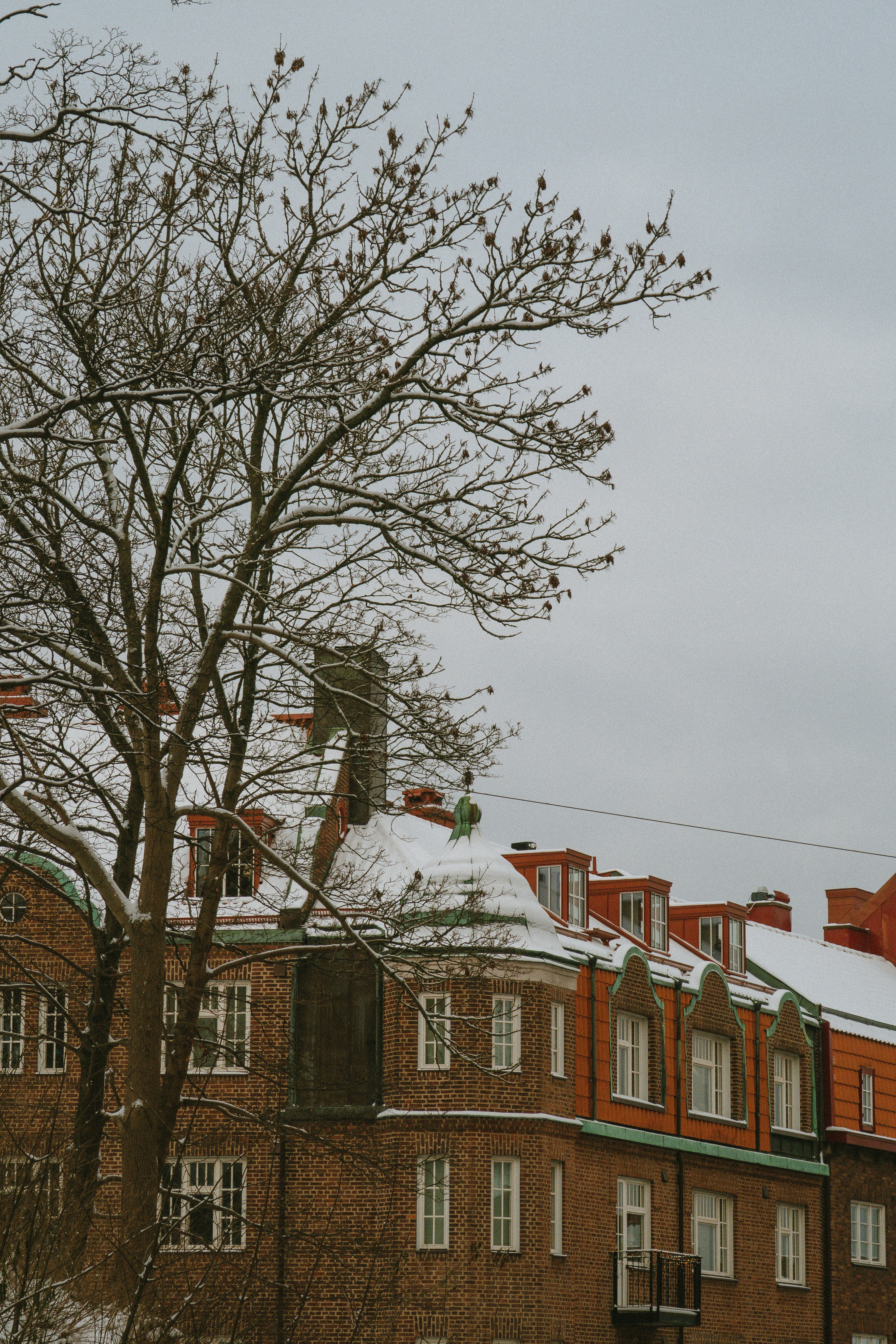 Photo by seenthroughmpk