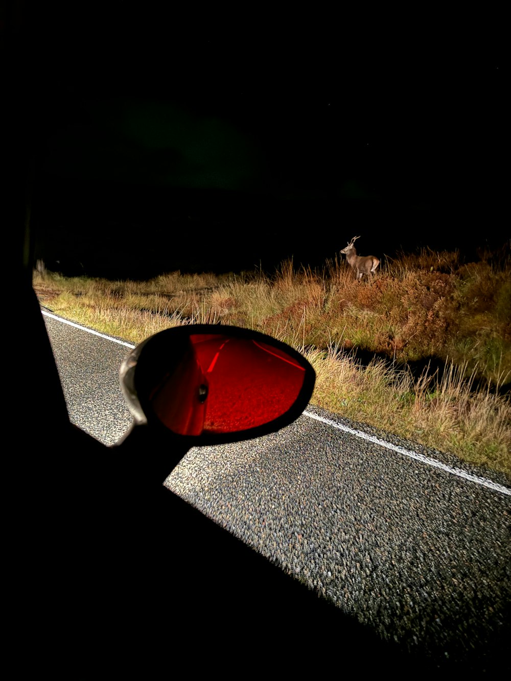a side view mirror on the side of a road