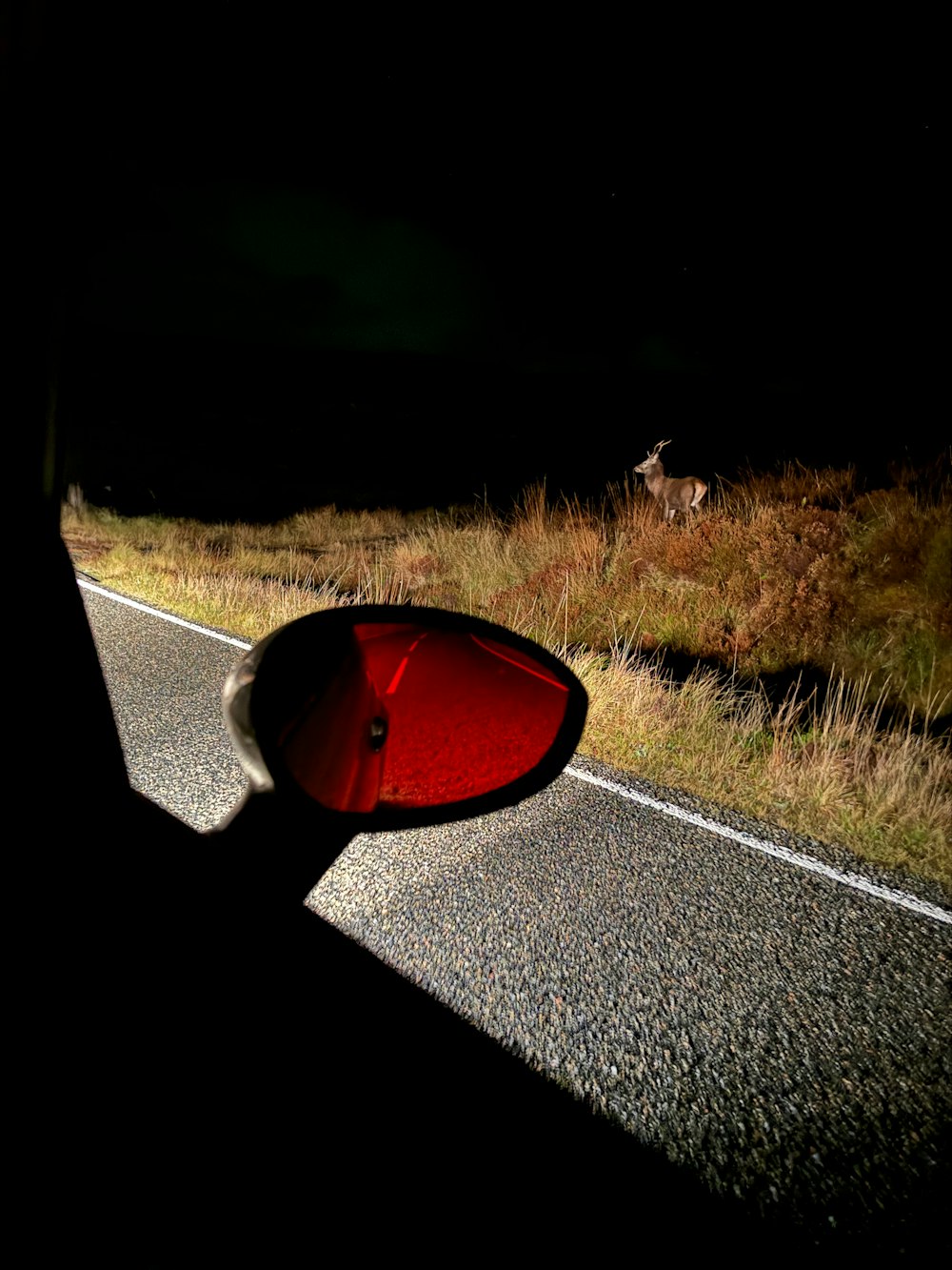 un espejo retrovisor lateral al costado de una carretera