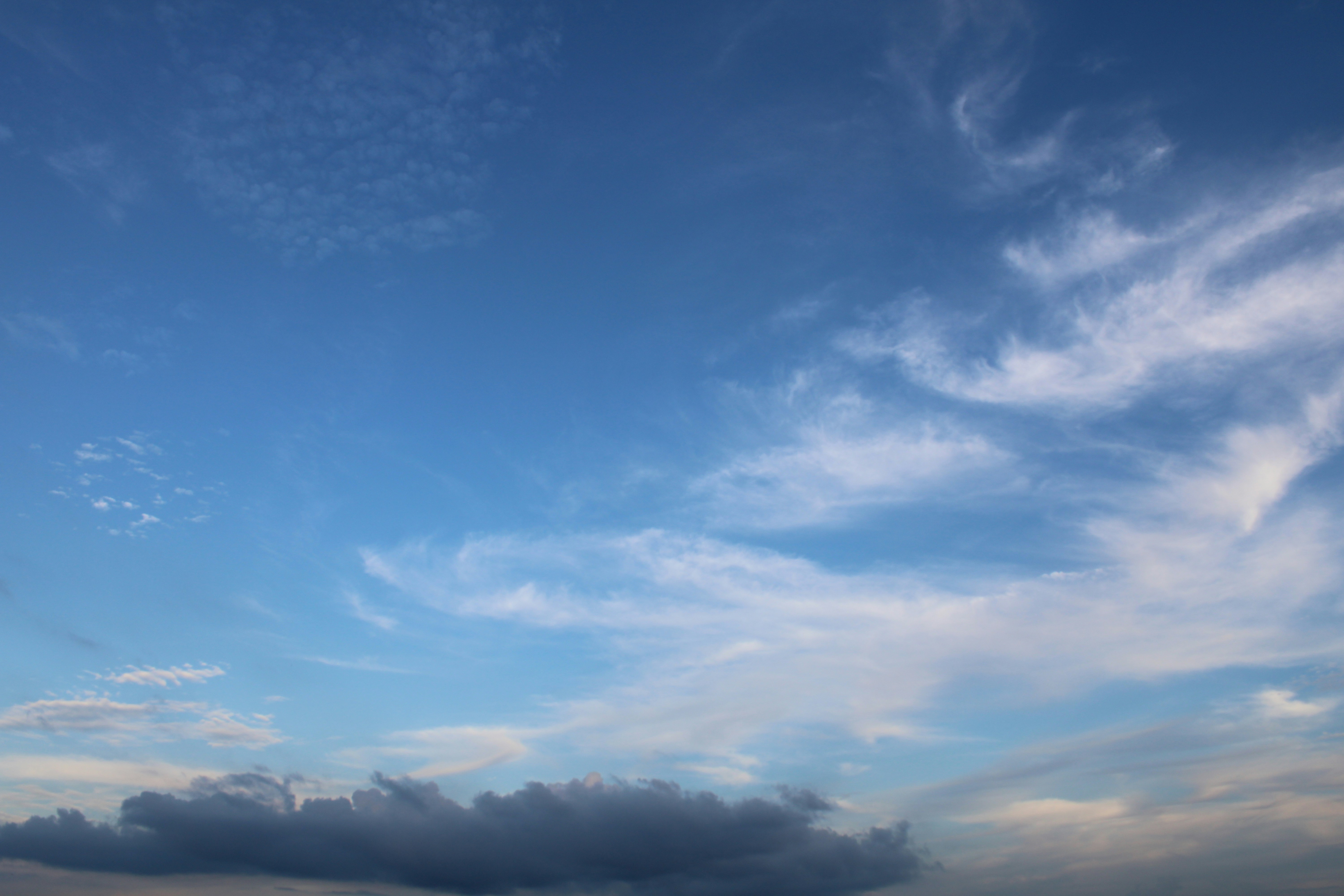 Photo by photoloveramico