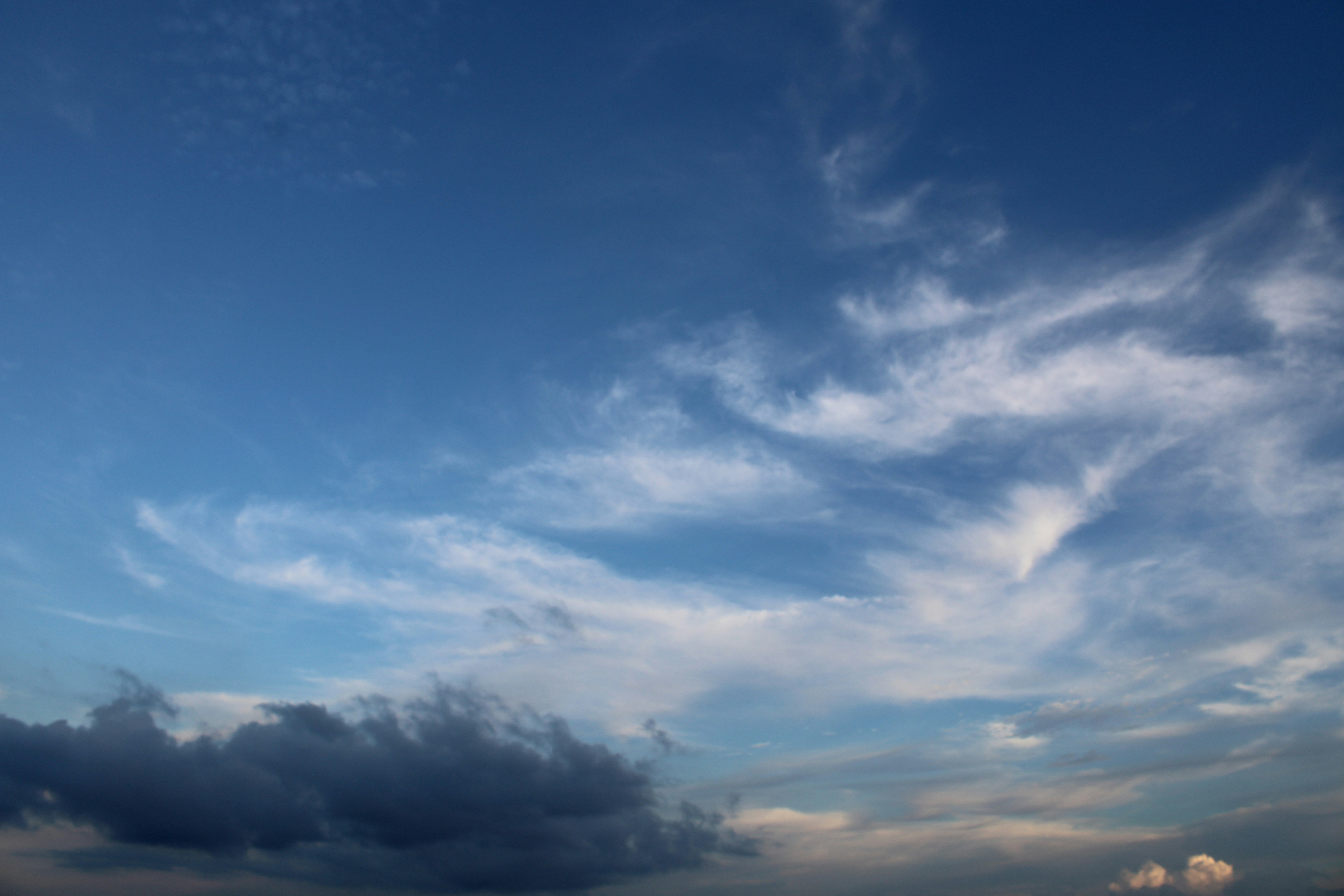 Photo by photoloveramico