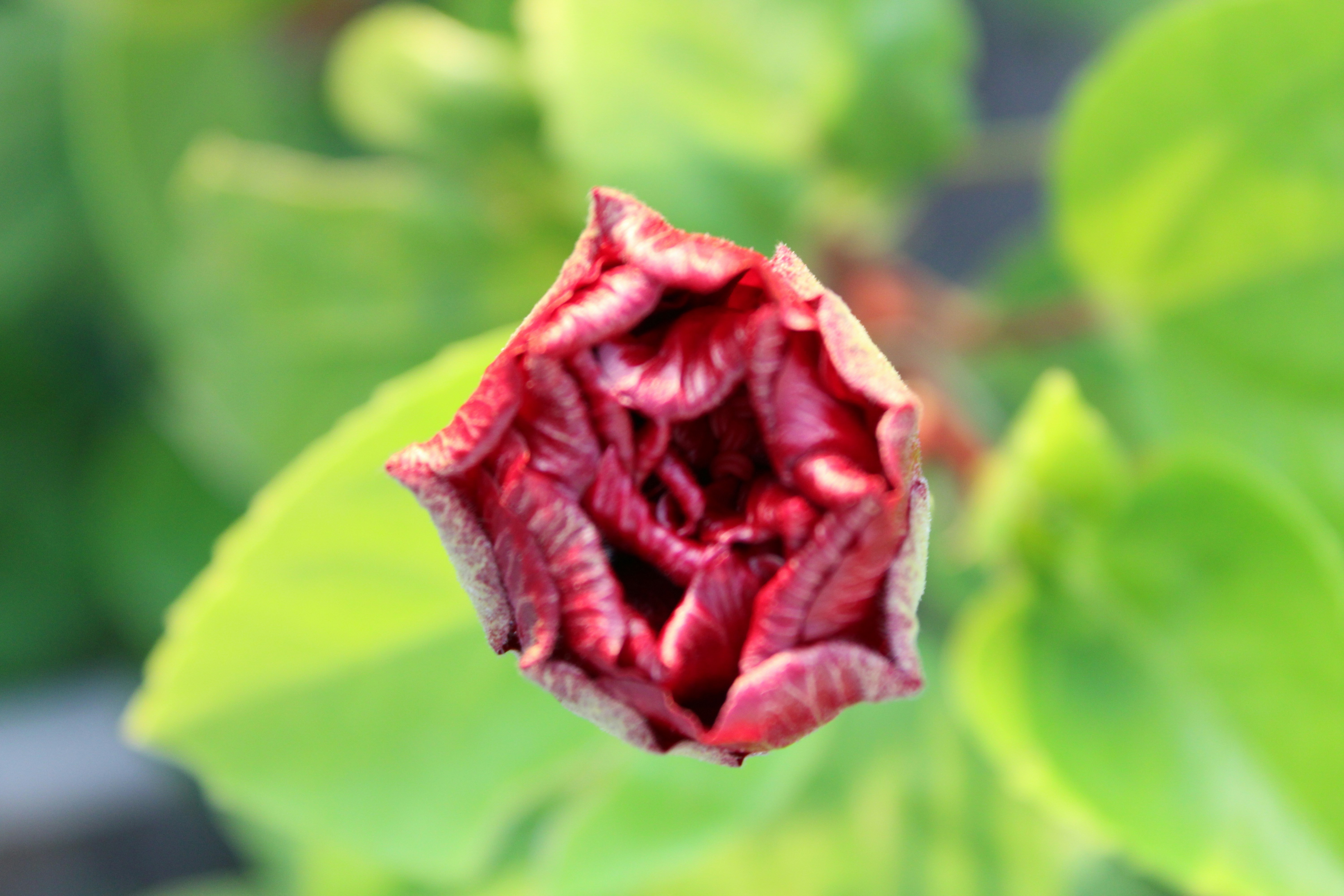 Photo by photoloveramico