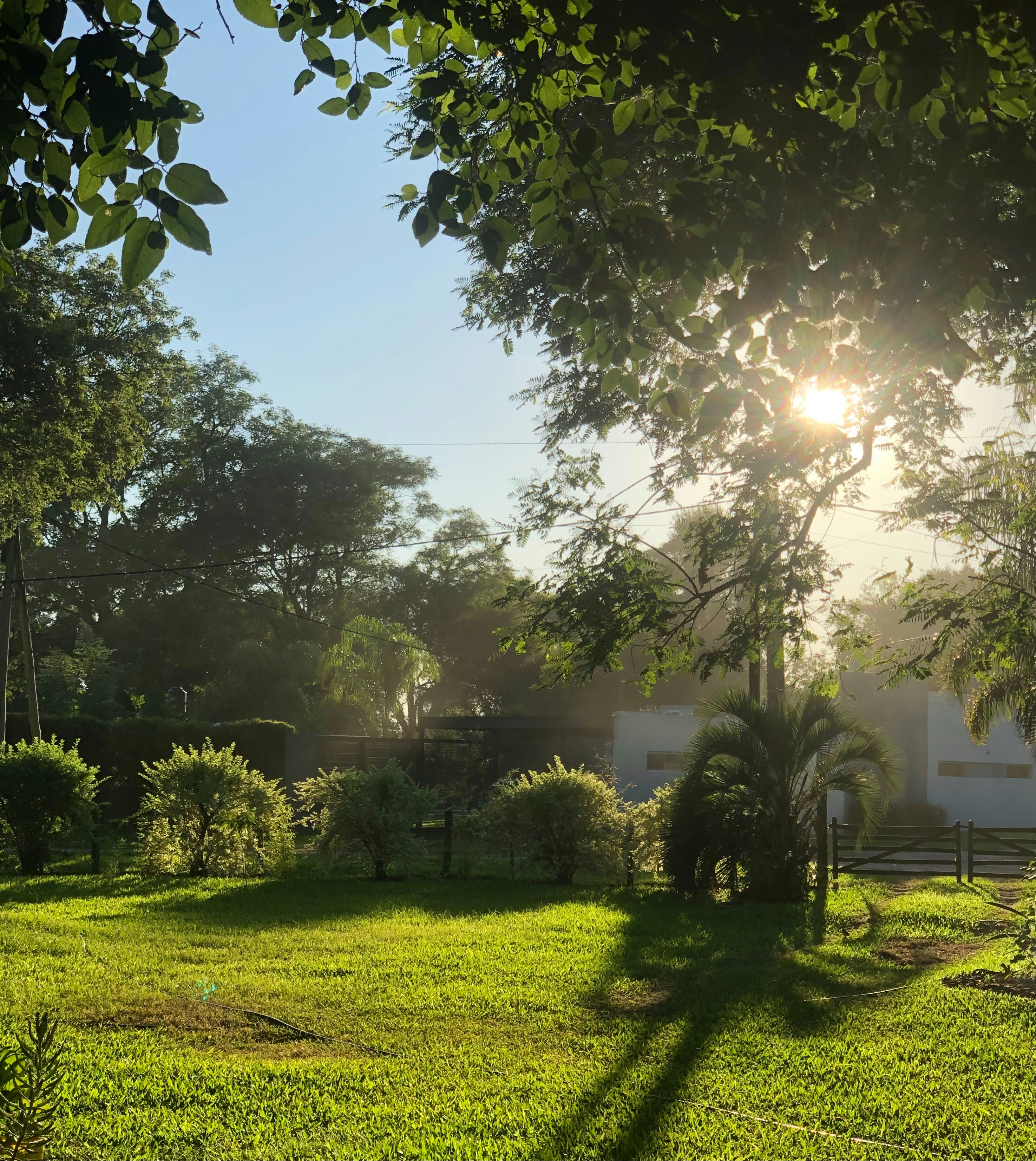 Photo by sunshinestudio82