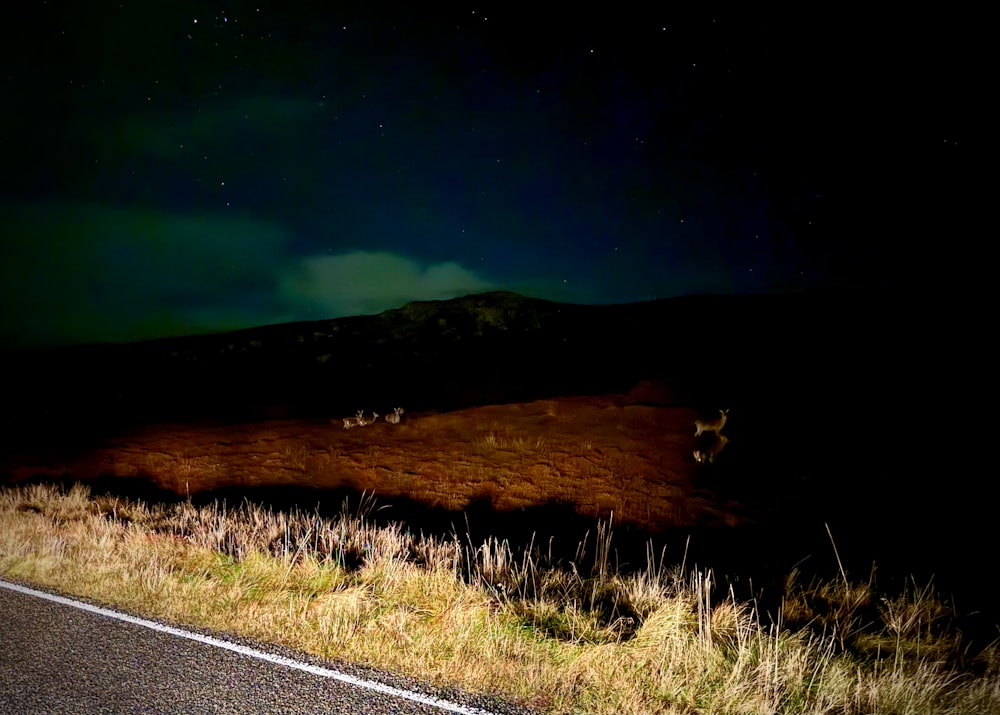 a long road with grass and a hill in the background