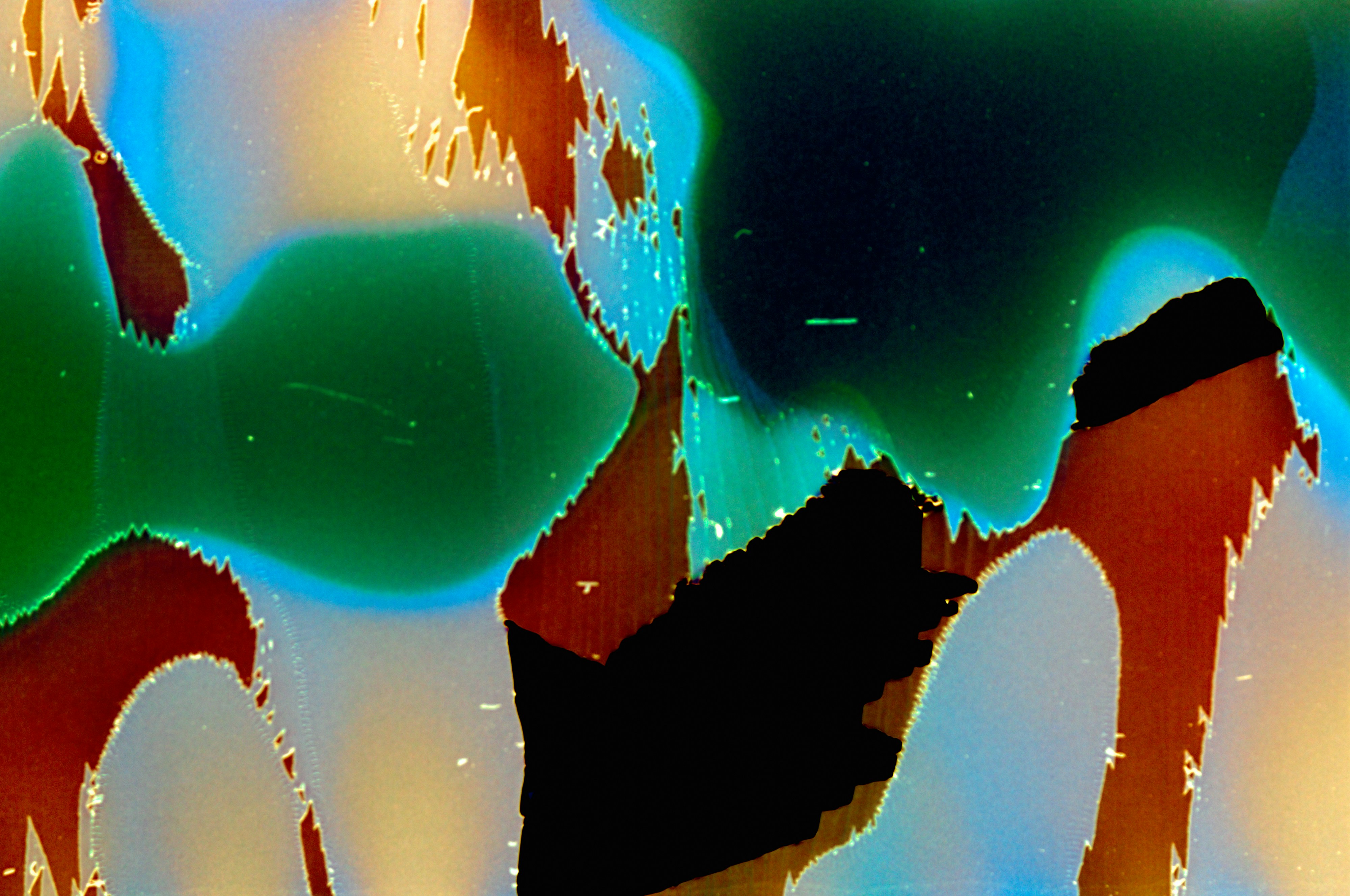 Photo by anniespratt