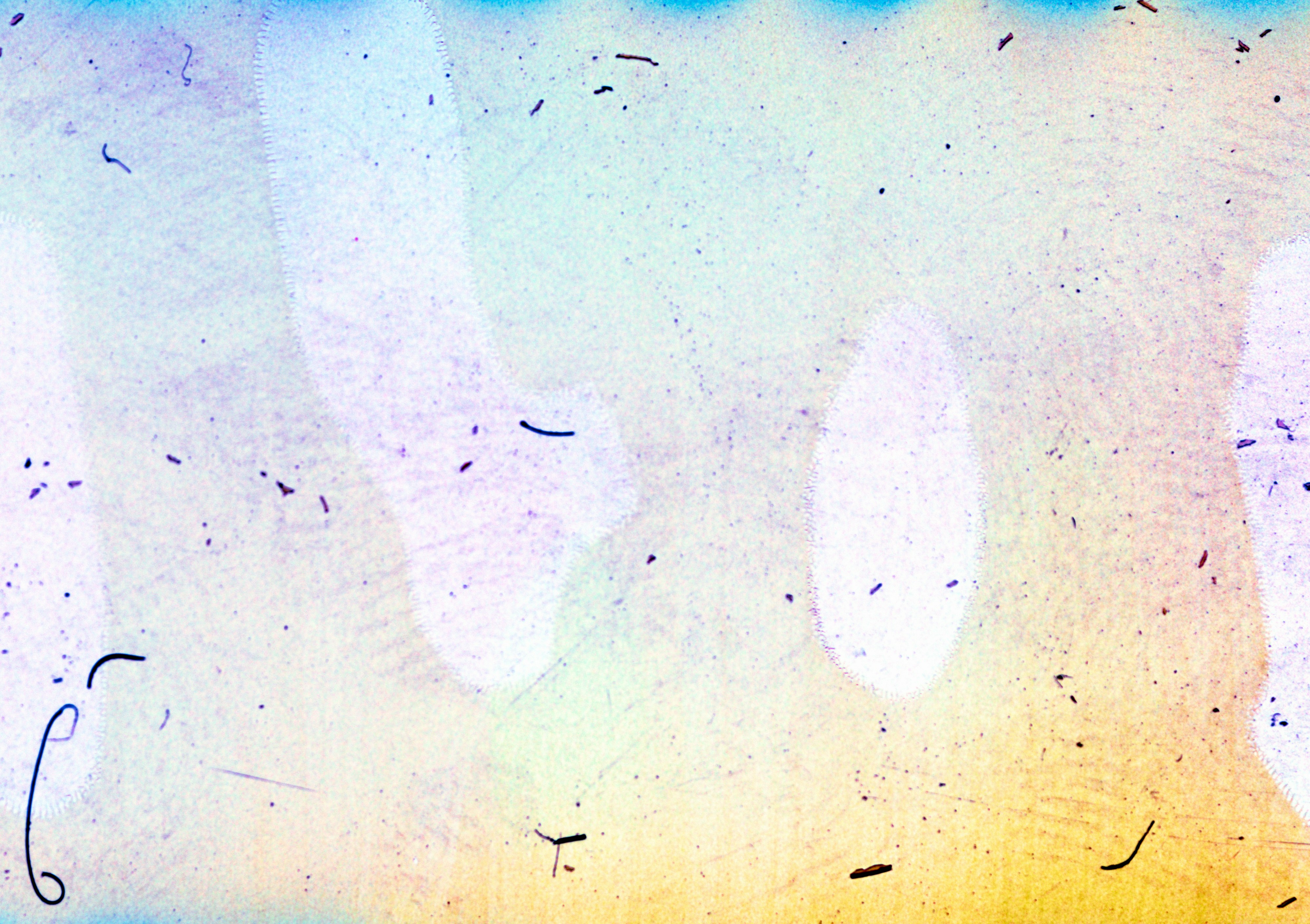 Photo by anniespratt