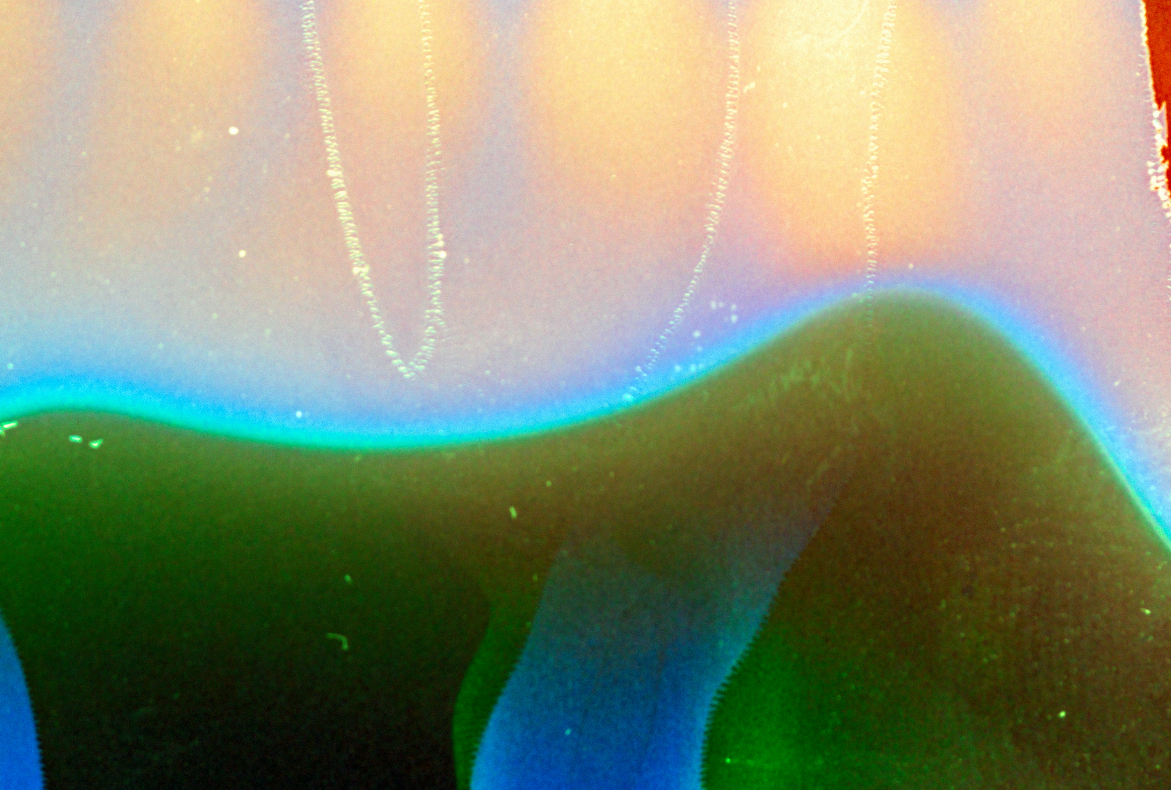 Photo by anniespratt