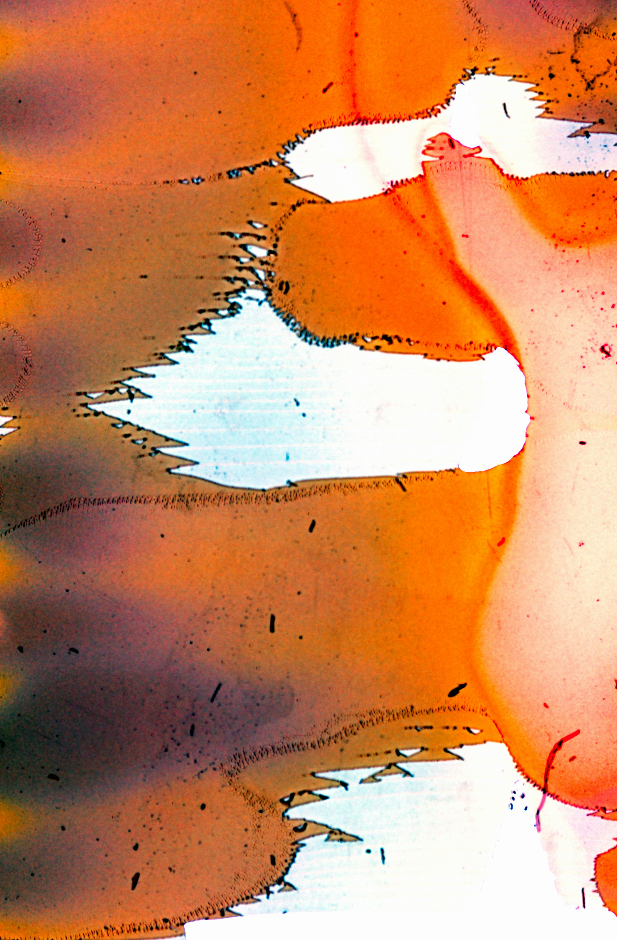 Photo by anniespratt