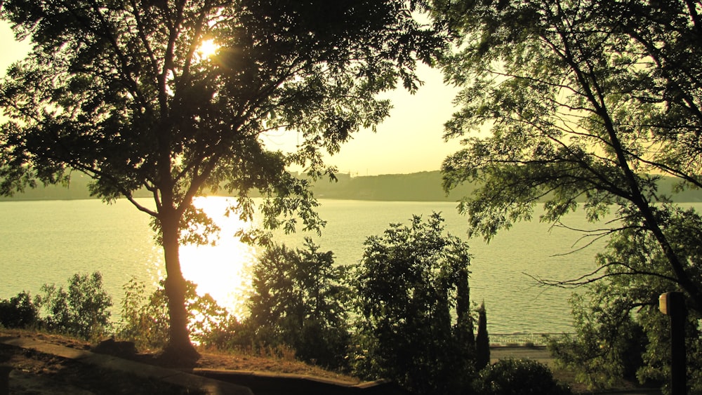 the sun is shining through the trees over the water