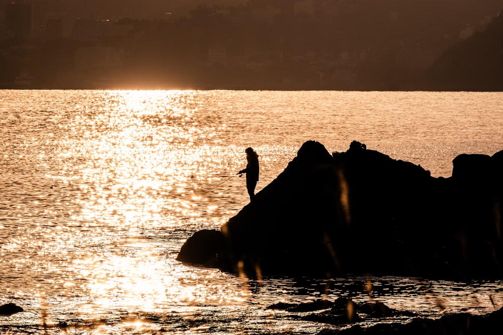 a person standing on a rock in the water