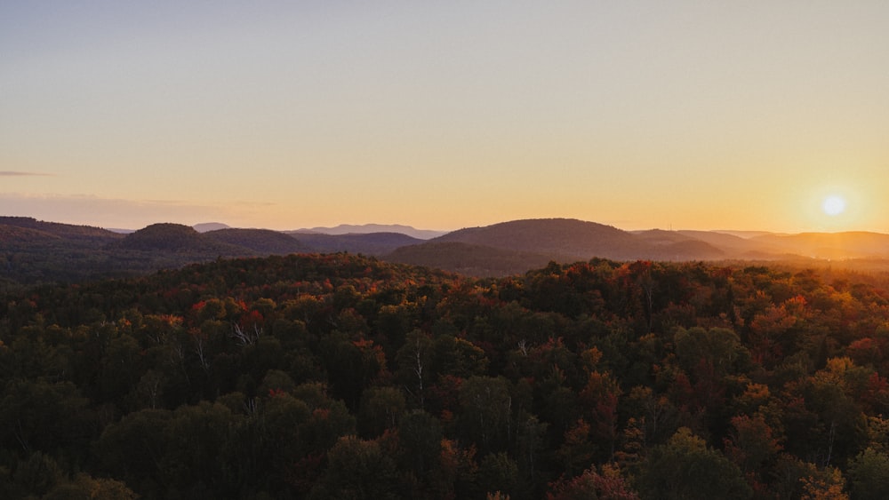 the sun is setting over a forested area
