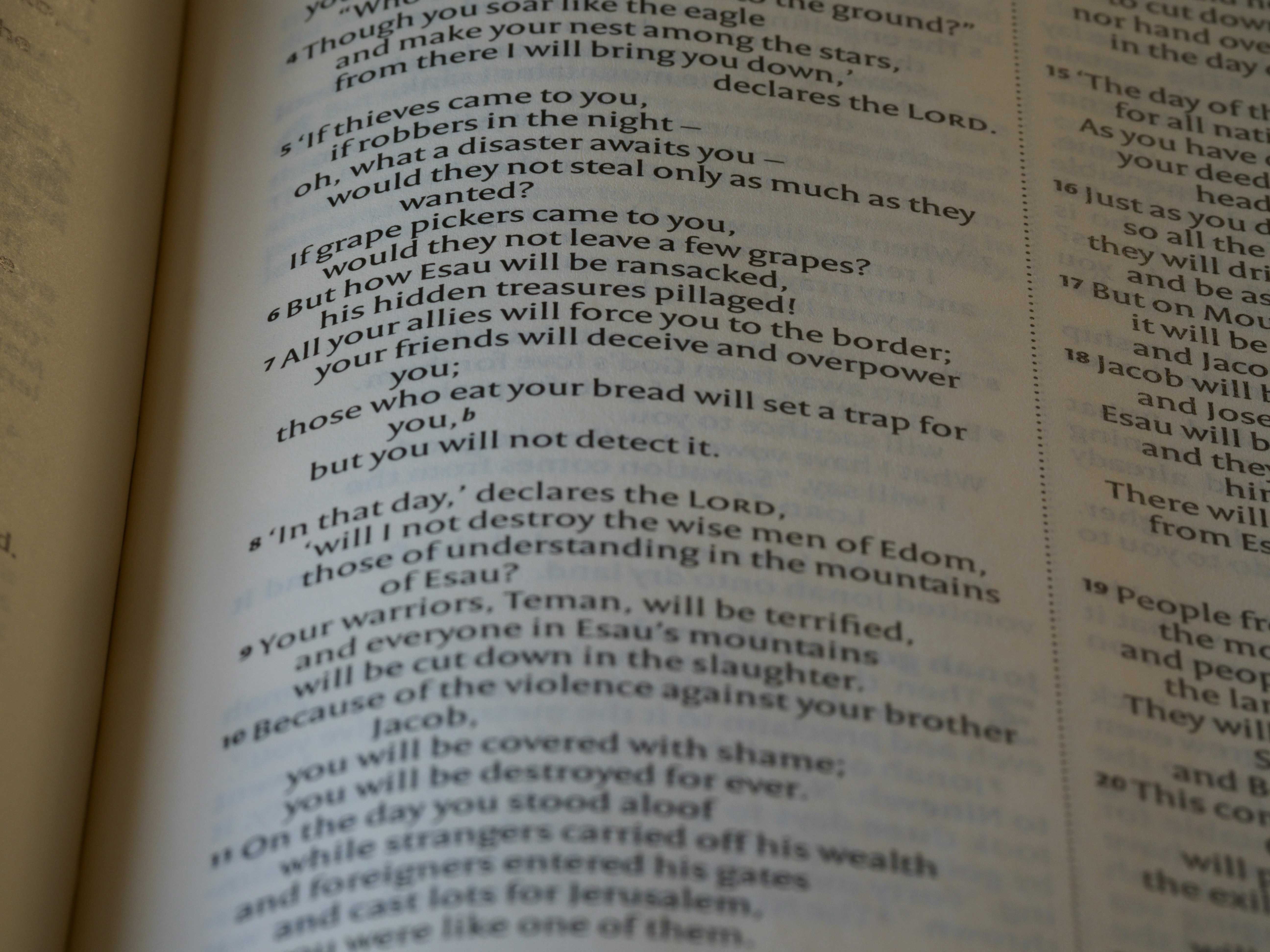 a close up of an open book with text