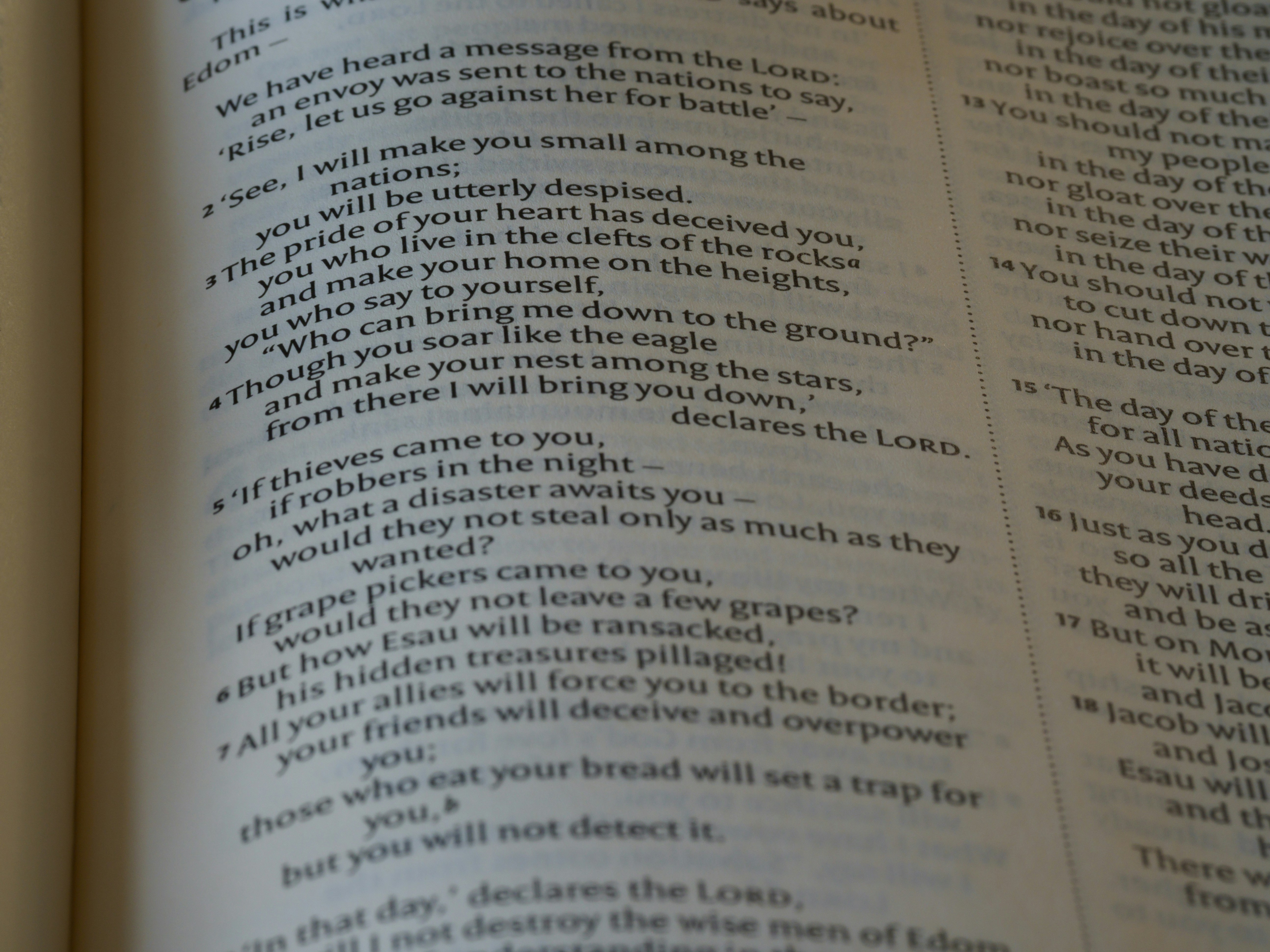 Photo by brett_jordan