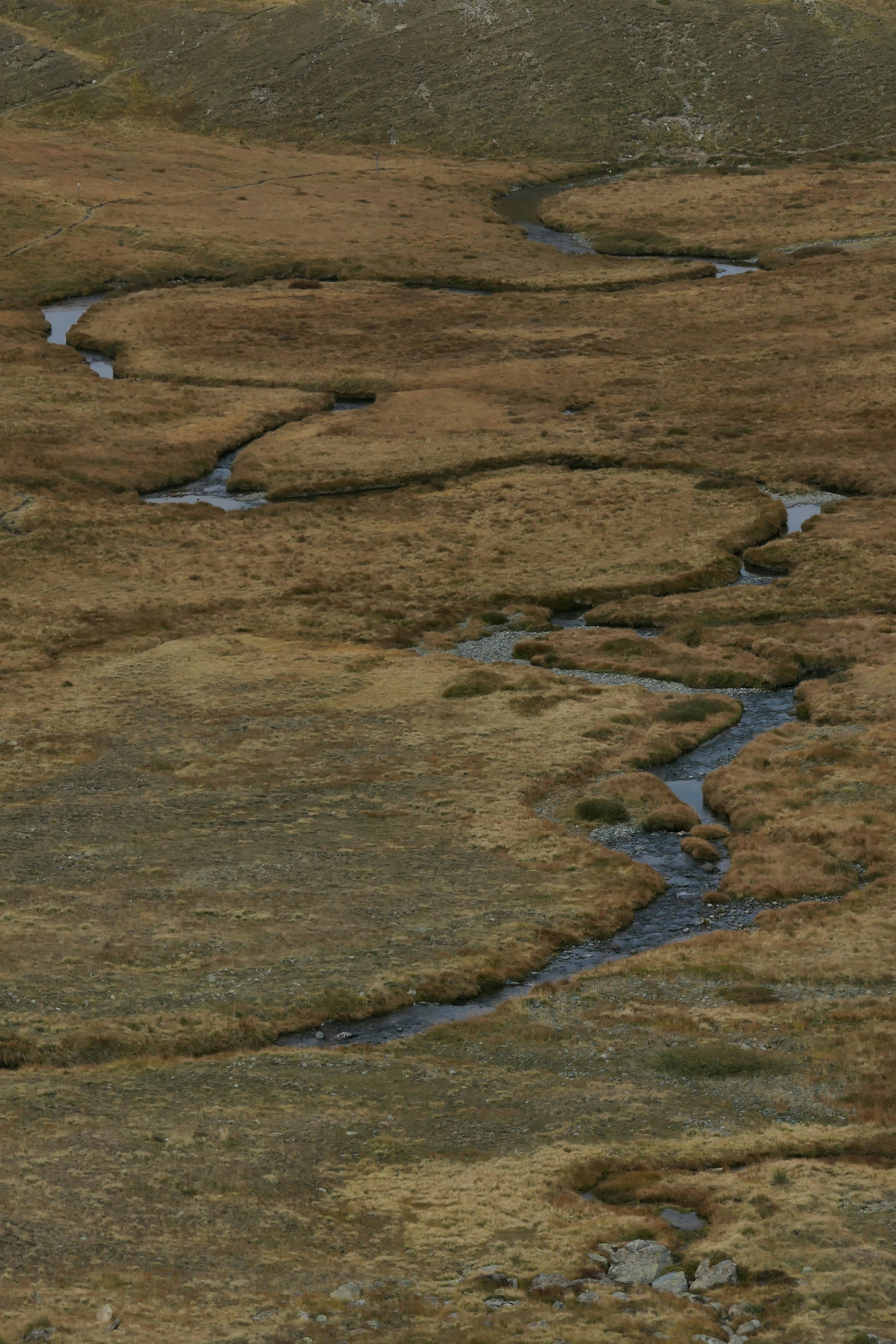 Photo by catherinedaho