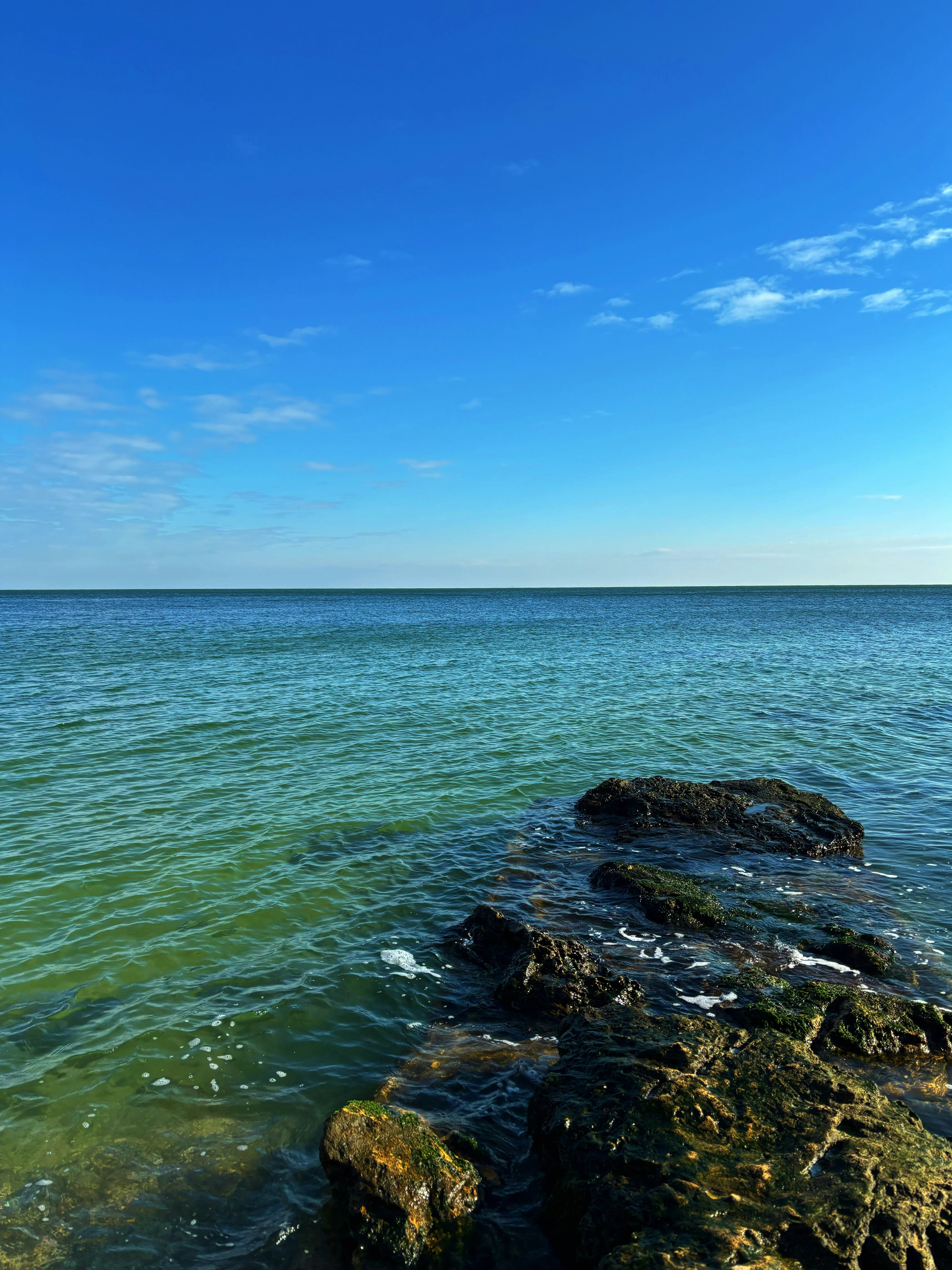 Photo by original_1st