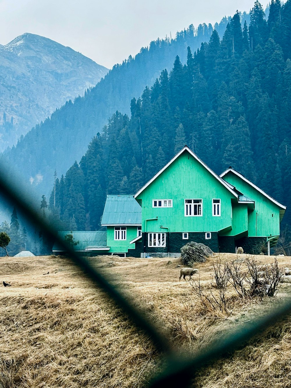 a green house in the middle of a field