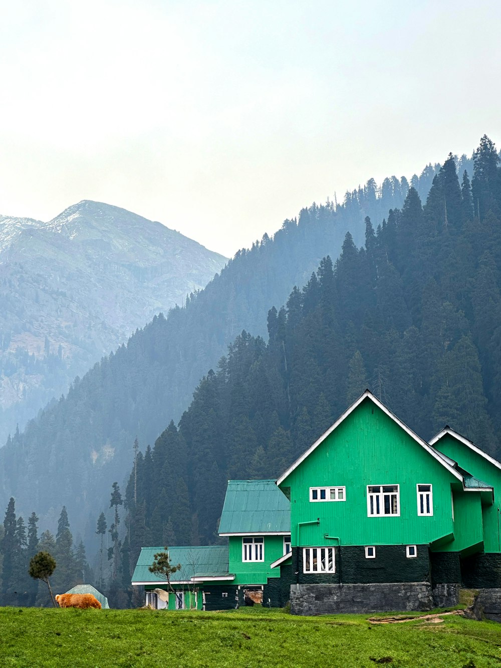 a green house in the middle of a mountain range