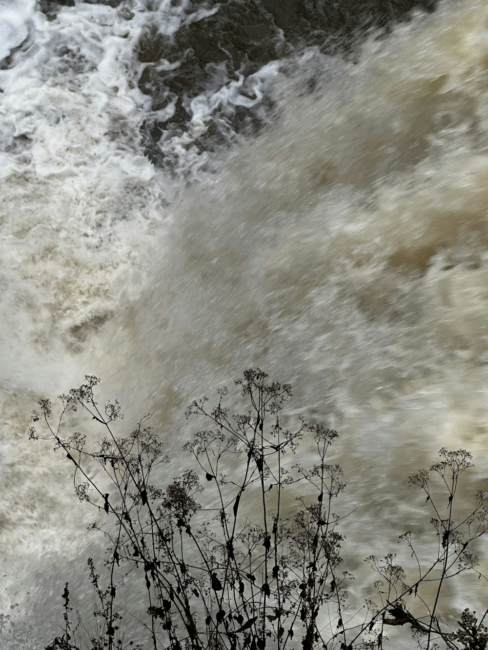 a view of the water from a high angle