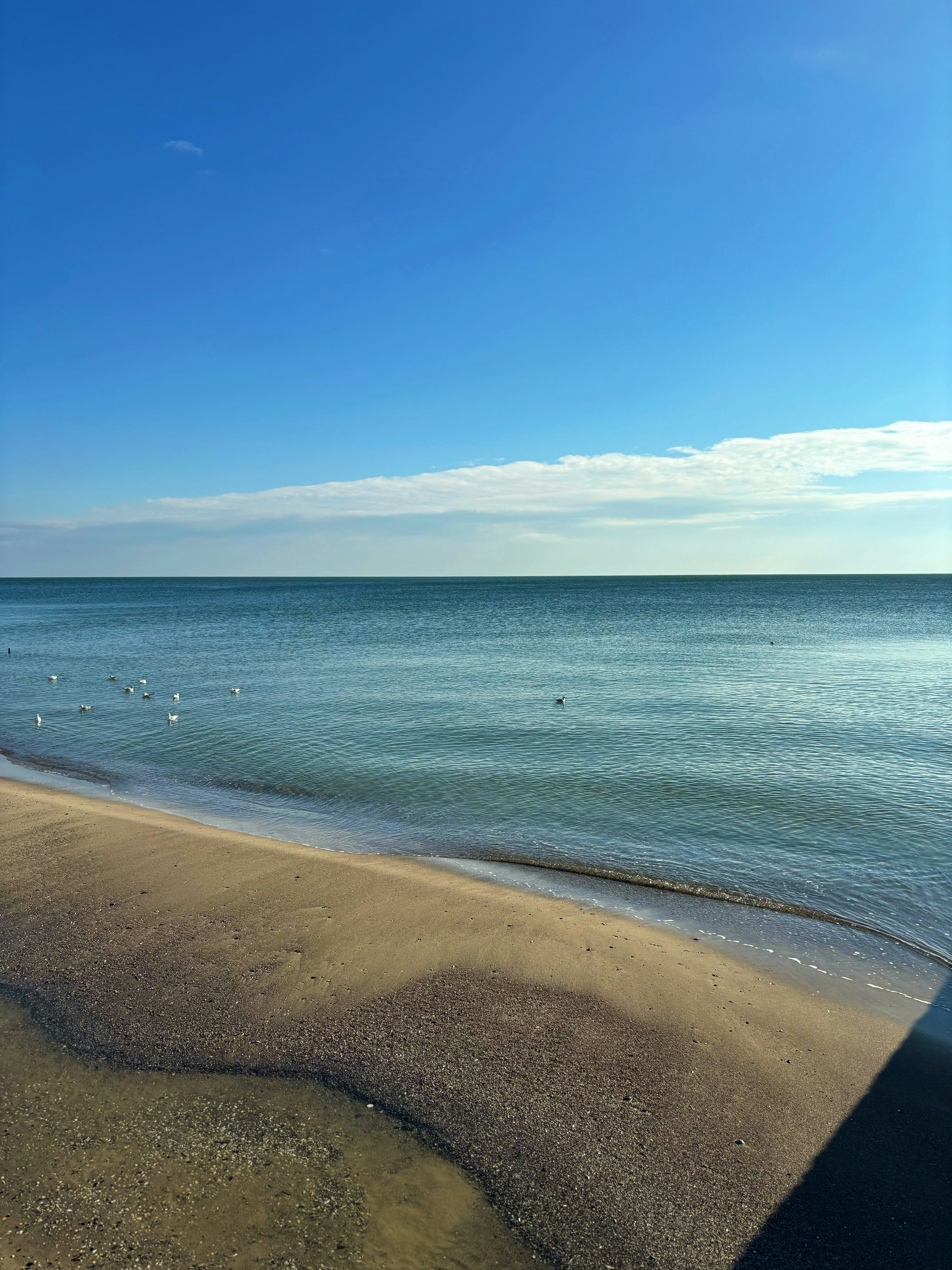 Photo by original_1st