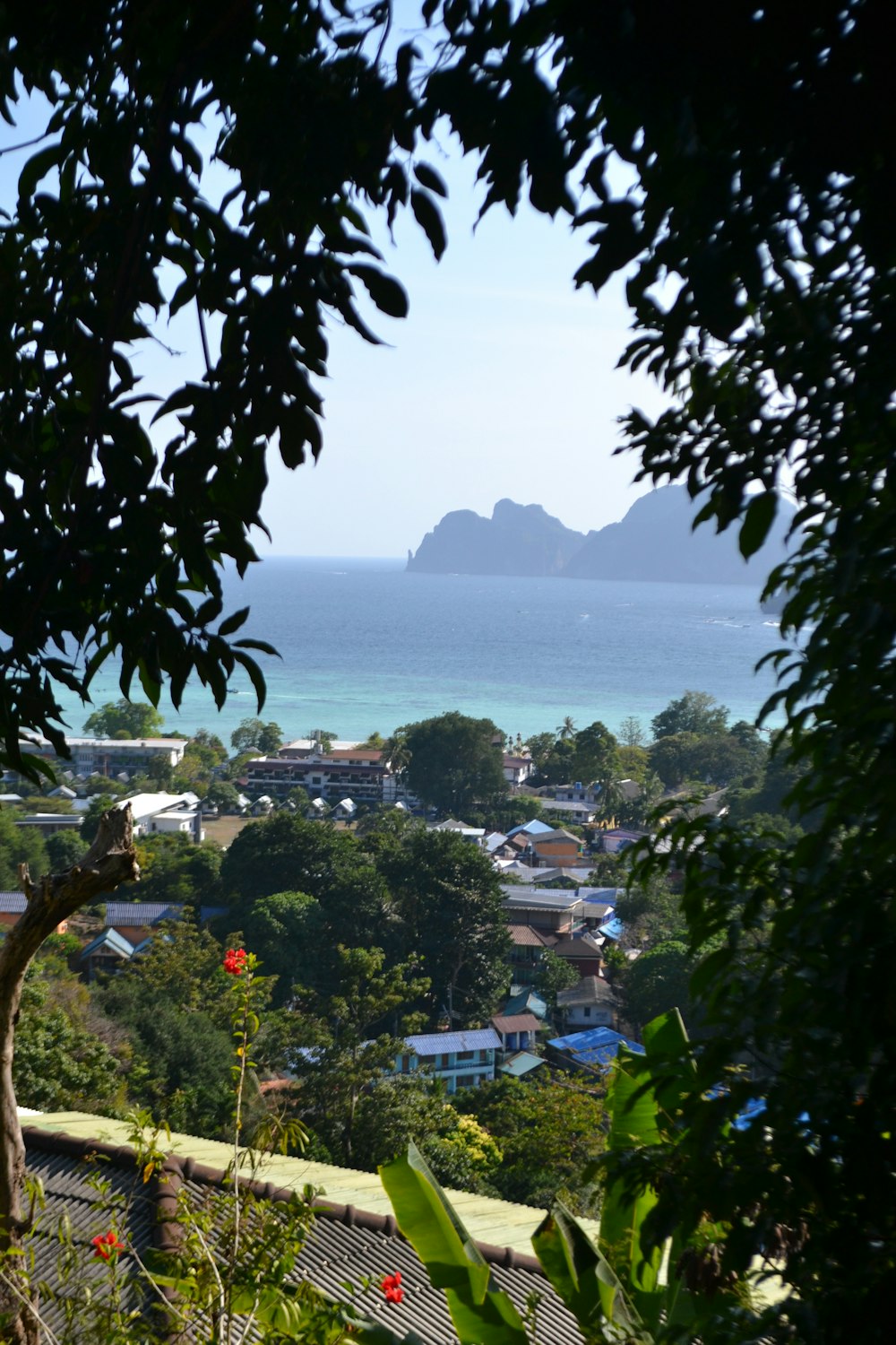 a view of the ocean from the top of a hill