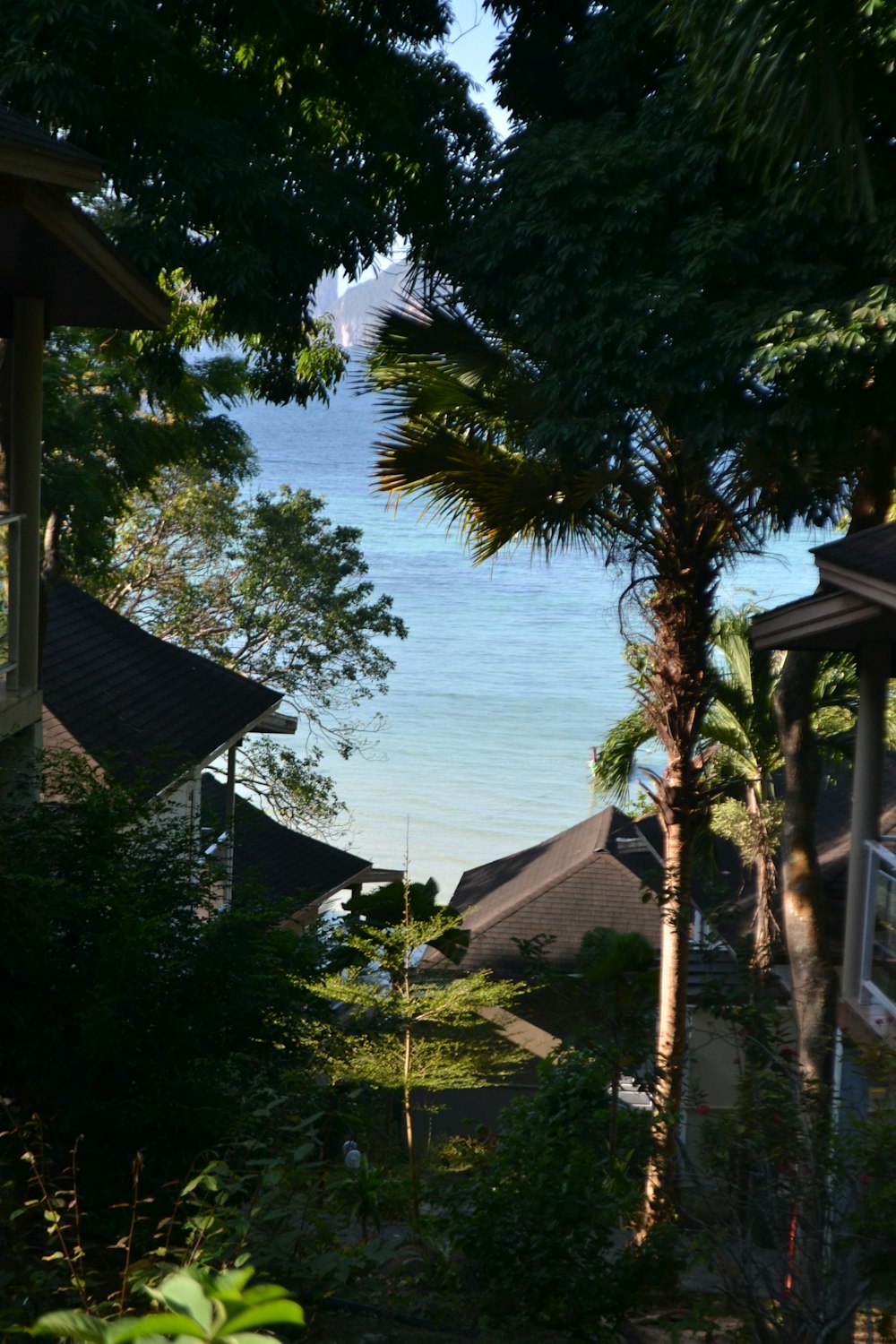 a view of a body of water through some trees