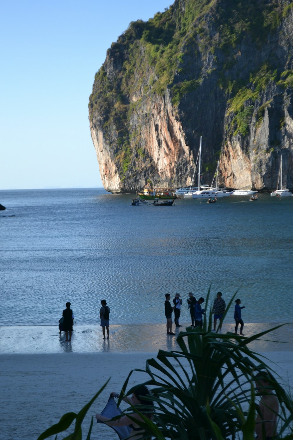 a group of people standing on a beach next to the ocean