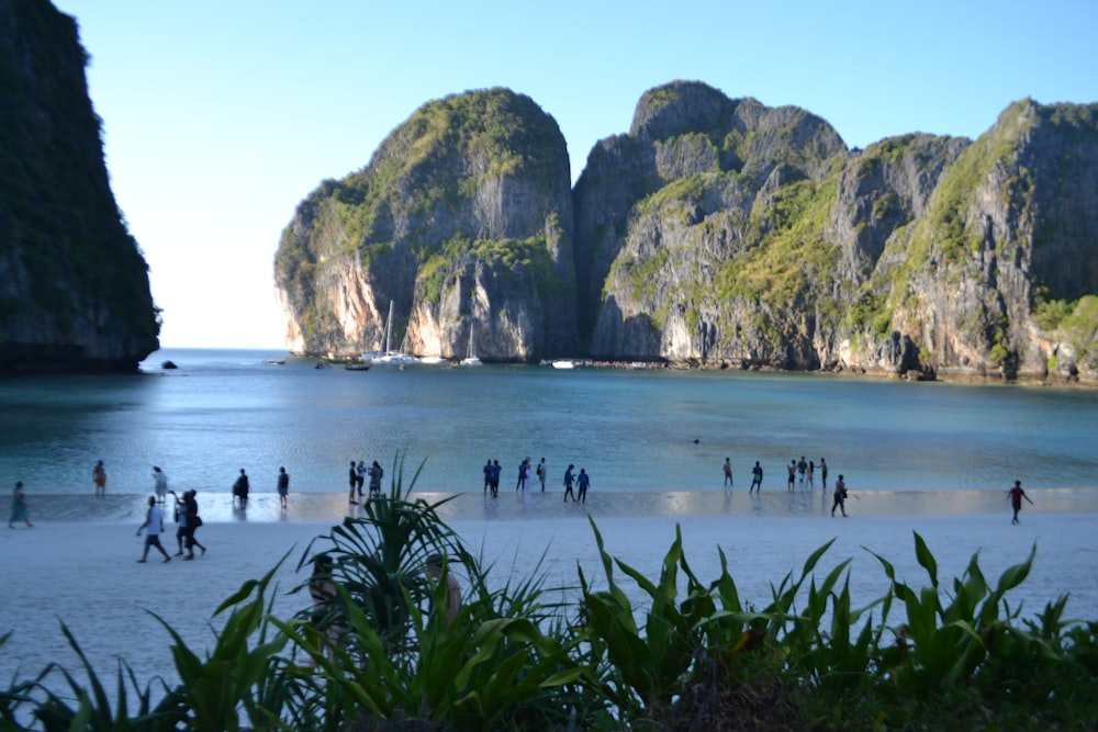 a group of people standing on top of a sandy beach