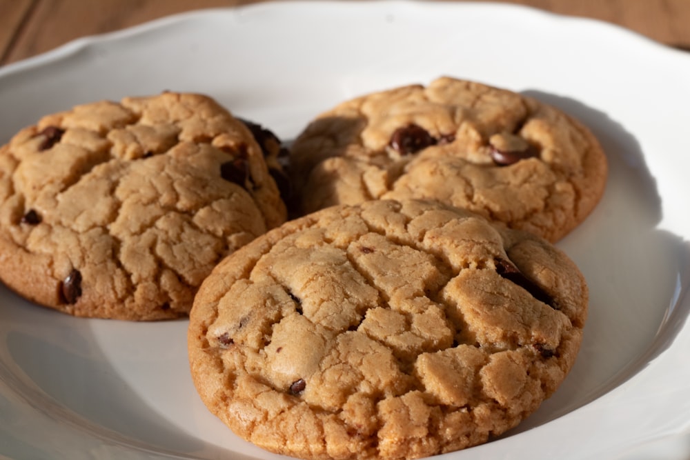 three chocolate chip cookies on a white plate