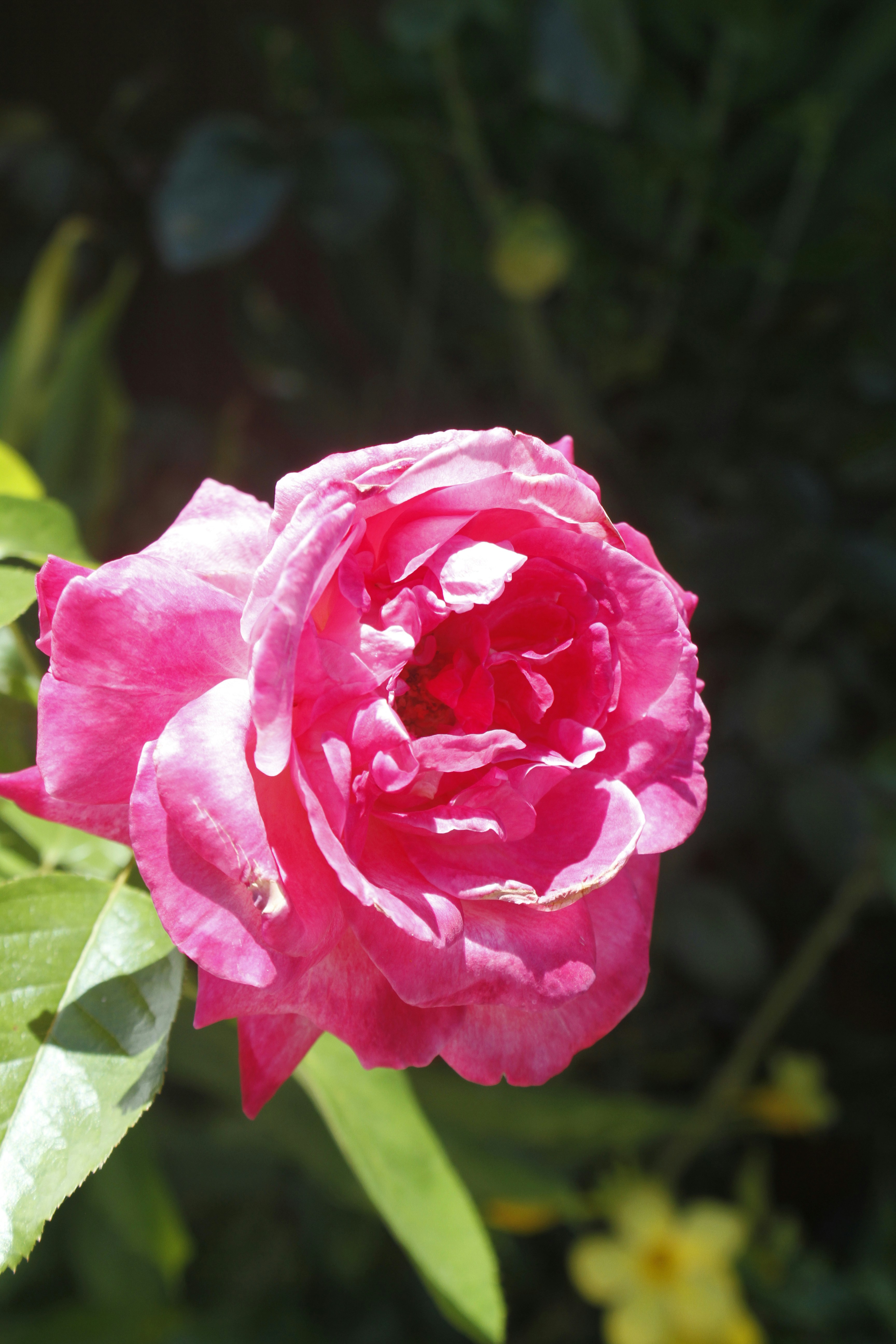 Photo by najoi_designer